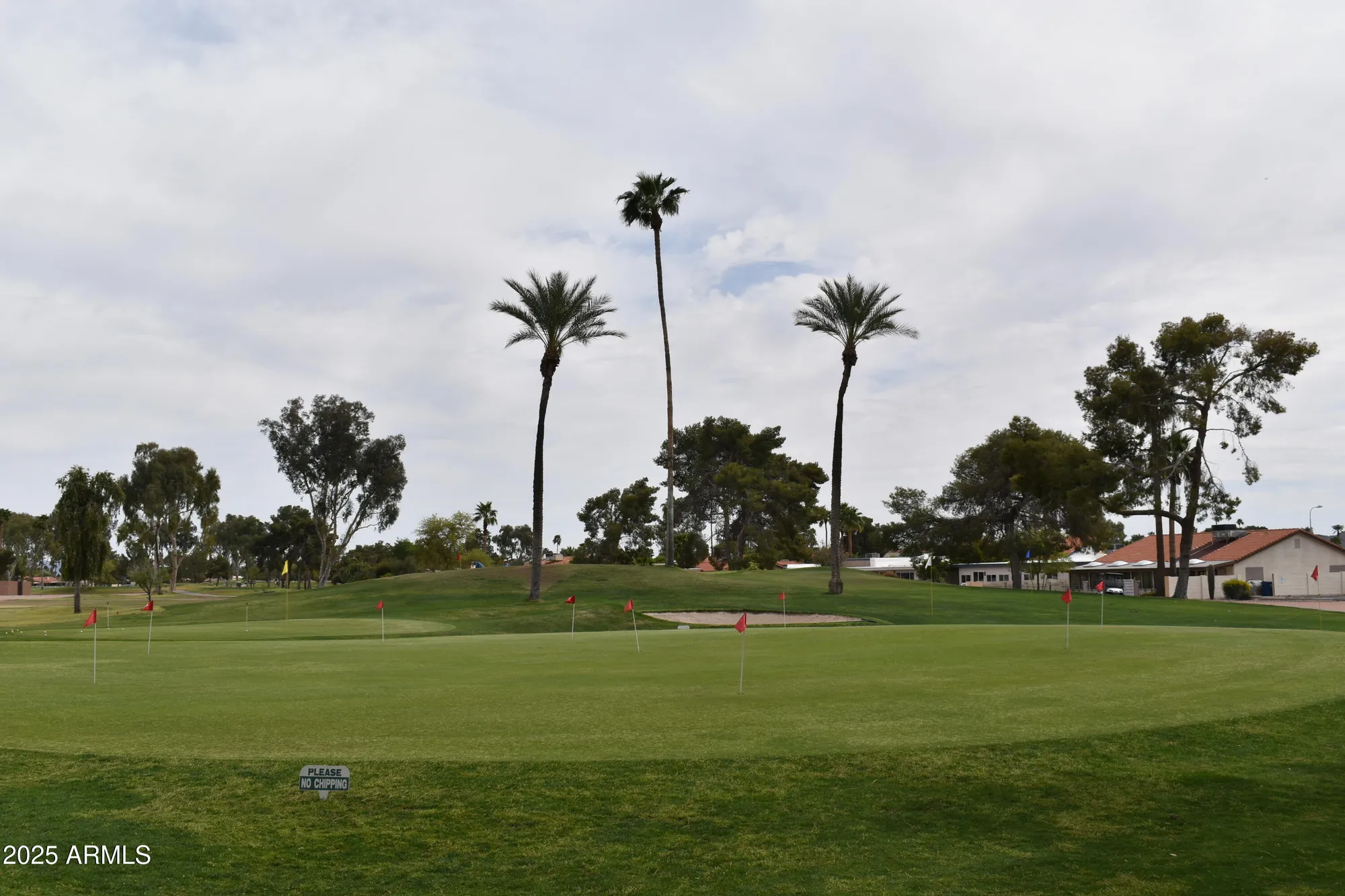 Property Slideshow image 46 of 60 | 26451 s hogan dr, Sun Lakes, AZ, 85248