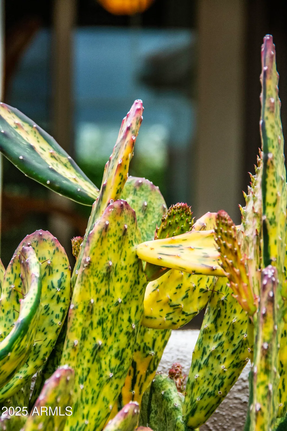 Property Slideshow image 24 of 49 | 12945 w el sueno ct, Sun City West, AZ, 85375