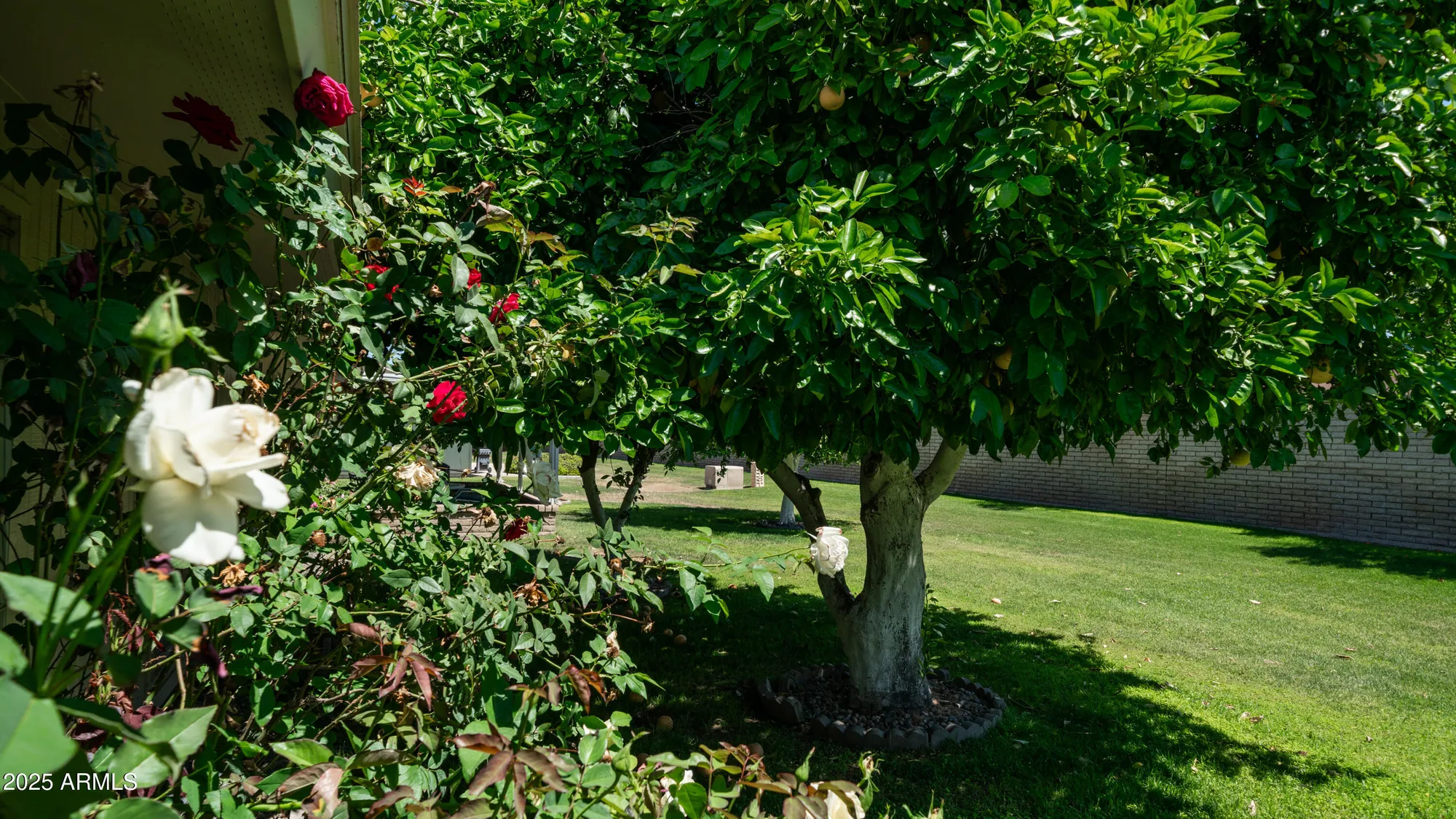 Property Slideshow image 20 of 31 | 9911 w pleasant valley rd, Sun City, AZ, 85351