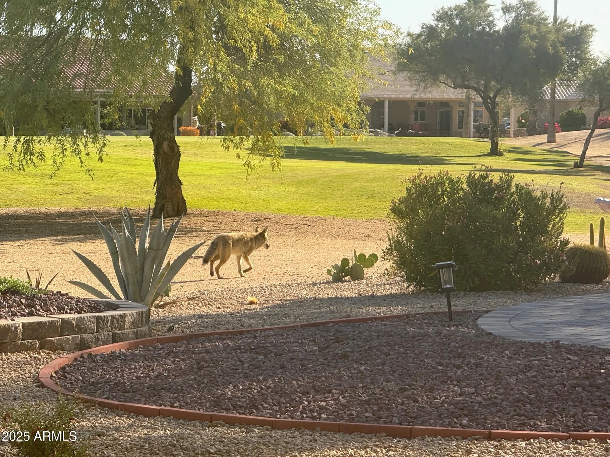 Property Slideshow image 59 of 59 | 13612 w robertson dr, Sun City West, AZ, 85375