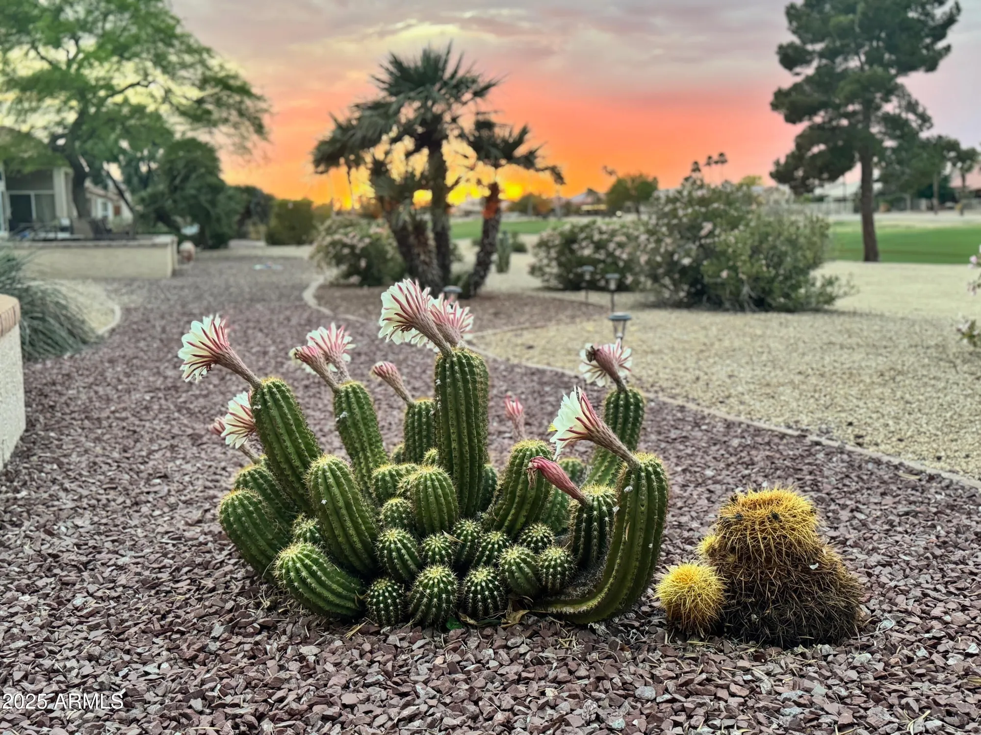 Property Slideshow image 10 of 59 | 13612 w robertson dr, Sun City West, AZ, 85375