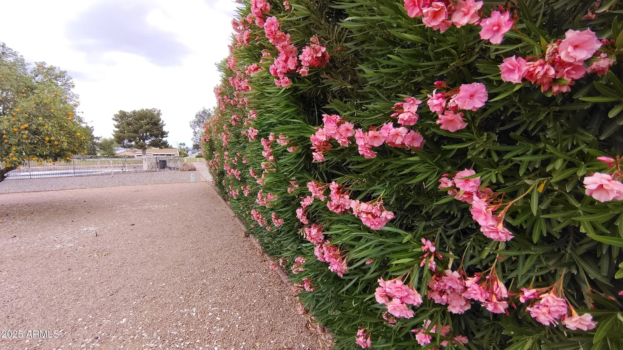 Property Slideshow image 32 of 35 | 1033 s florence dr, Mesa, AZ, 85208