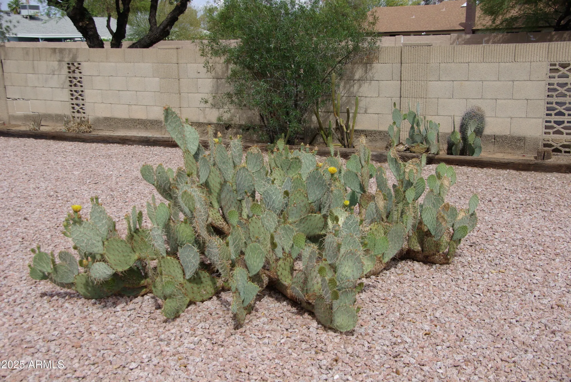 Property Slideshow image 30 of 30 | 11643 s iroquois dr, Phoenix, AZ, 85044