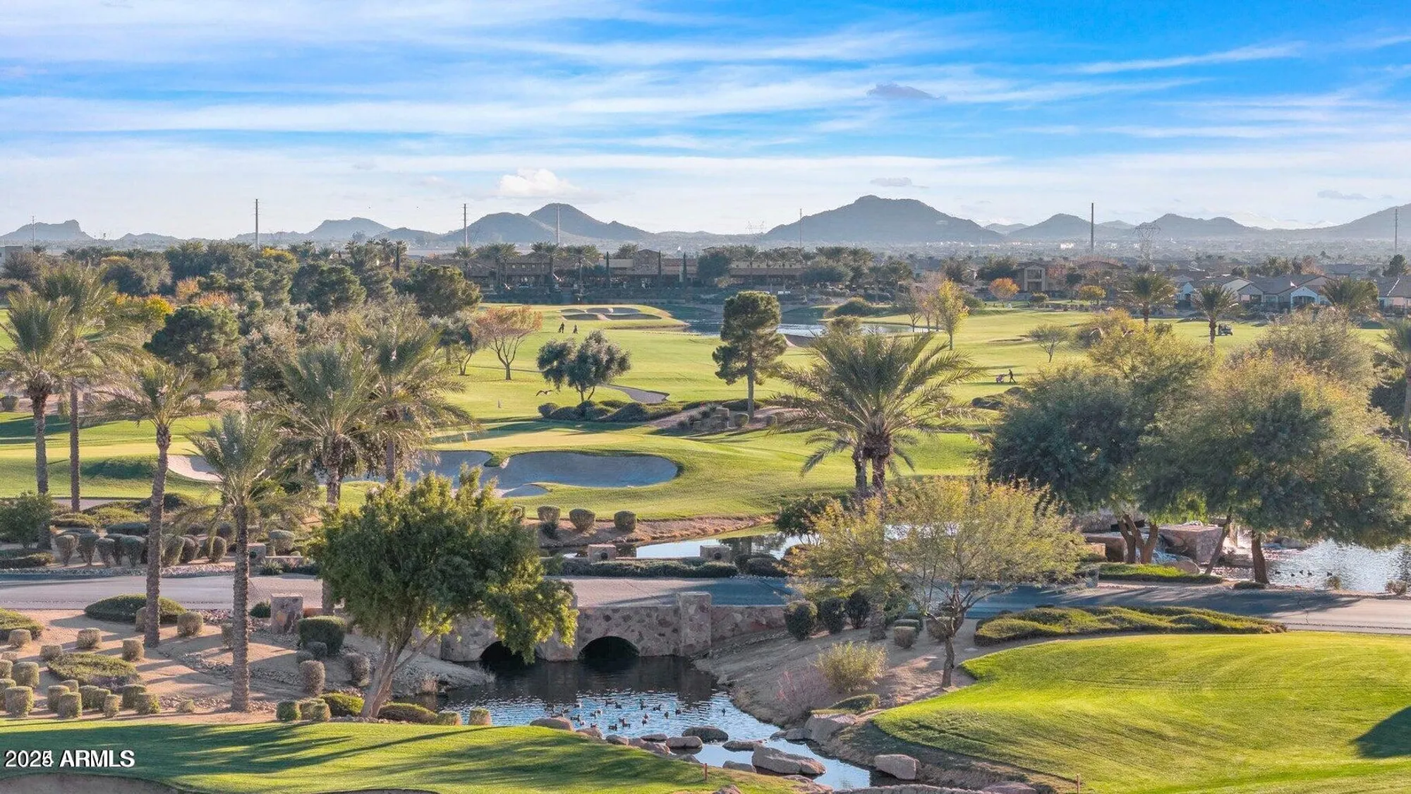 Property Slideshow image 48 of 54 | 36145 n desert tea dr, Queen Creek, AZ, 85140