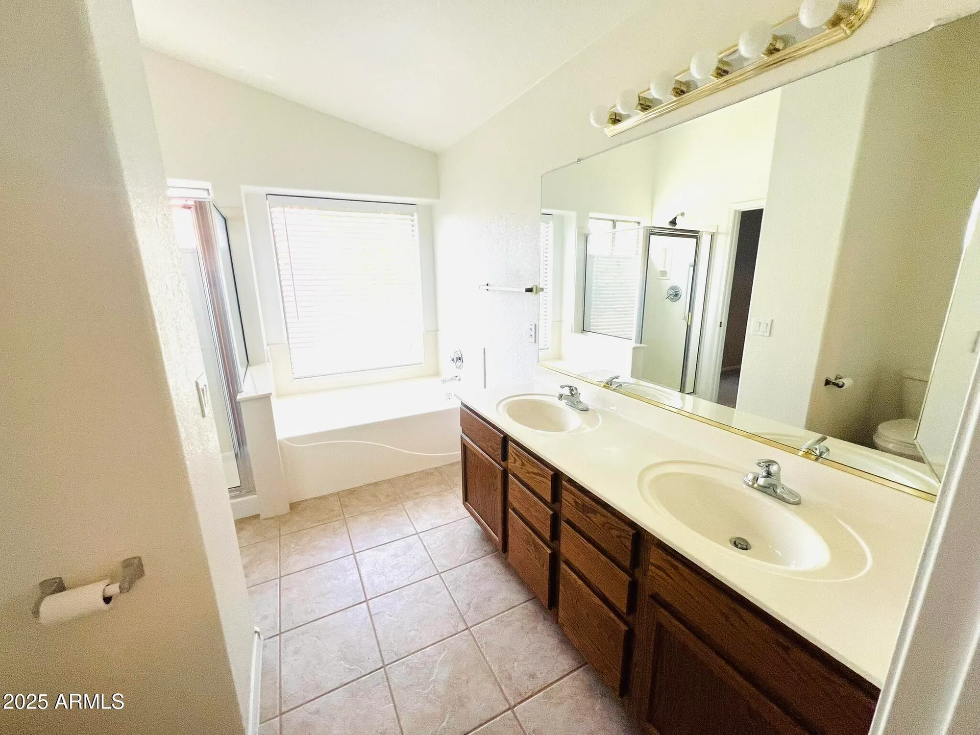 Property Slideshow image 9 of 19 | 18166 w camino real dr, Surprise, AZ, 85374