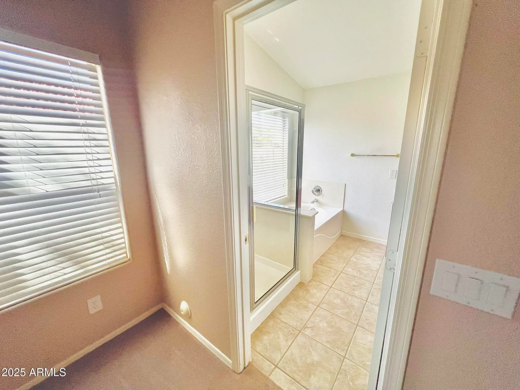 Property Slideshow image 6 of 19 | 18166 w camino real dr, Surprise, AZ, 85374