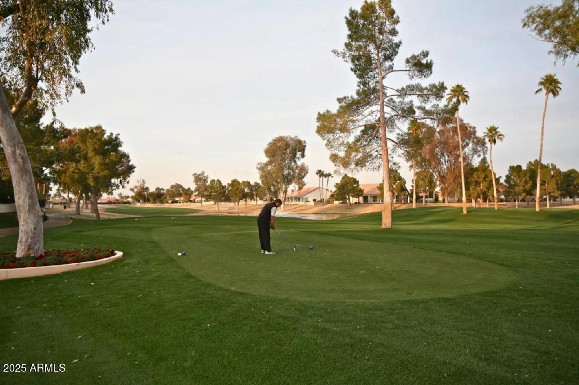 Property Slideshow image 64 of 73 | 26004 s flame tree dr, Sun Lakes, AZ, 85248