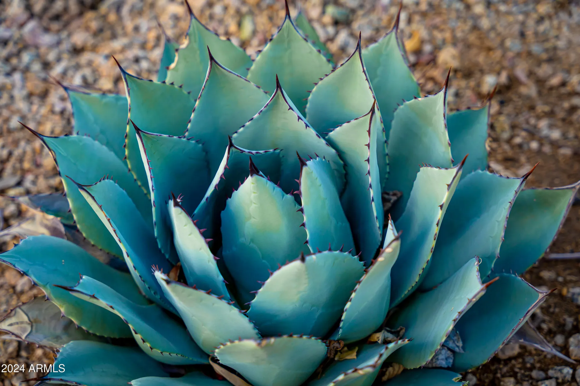 Property Slideshow image 40 of 40 | 9635 w spanish moss ln, Sun City, AZ, 85373