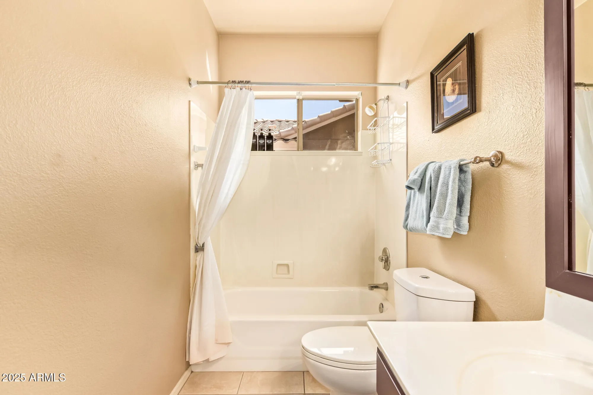 Property Slideshow image 22 of 51 | 17651 n coconino dr, Surprise, AZ, 85374