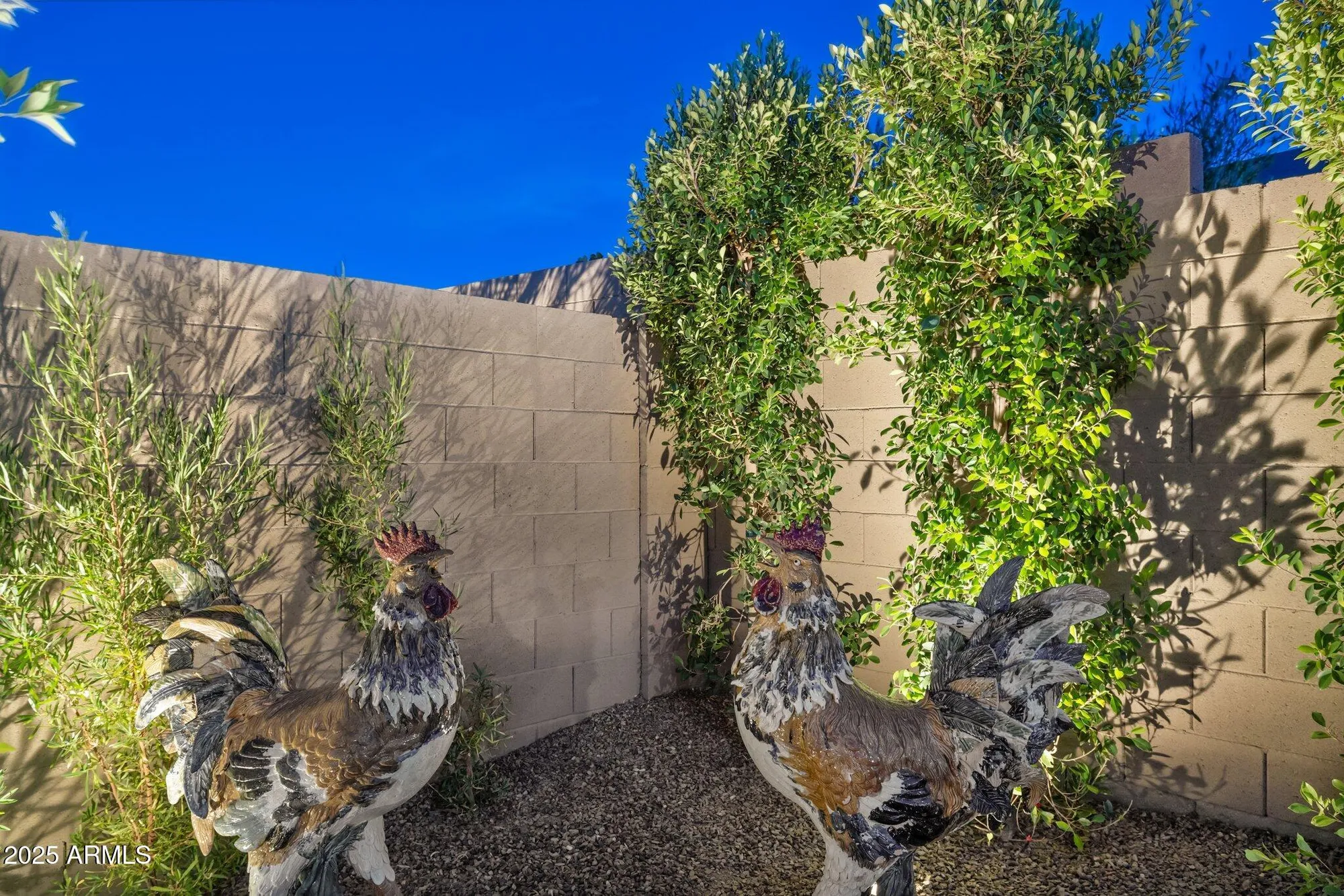 Property Slideshow image 82 of 94 | 20797 w rattler rd, Buckeye, AZ, 85396