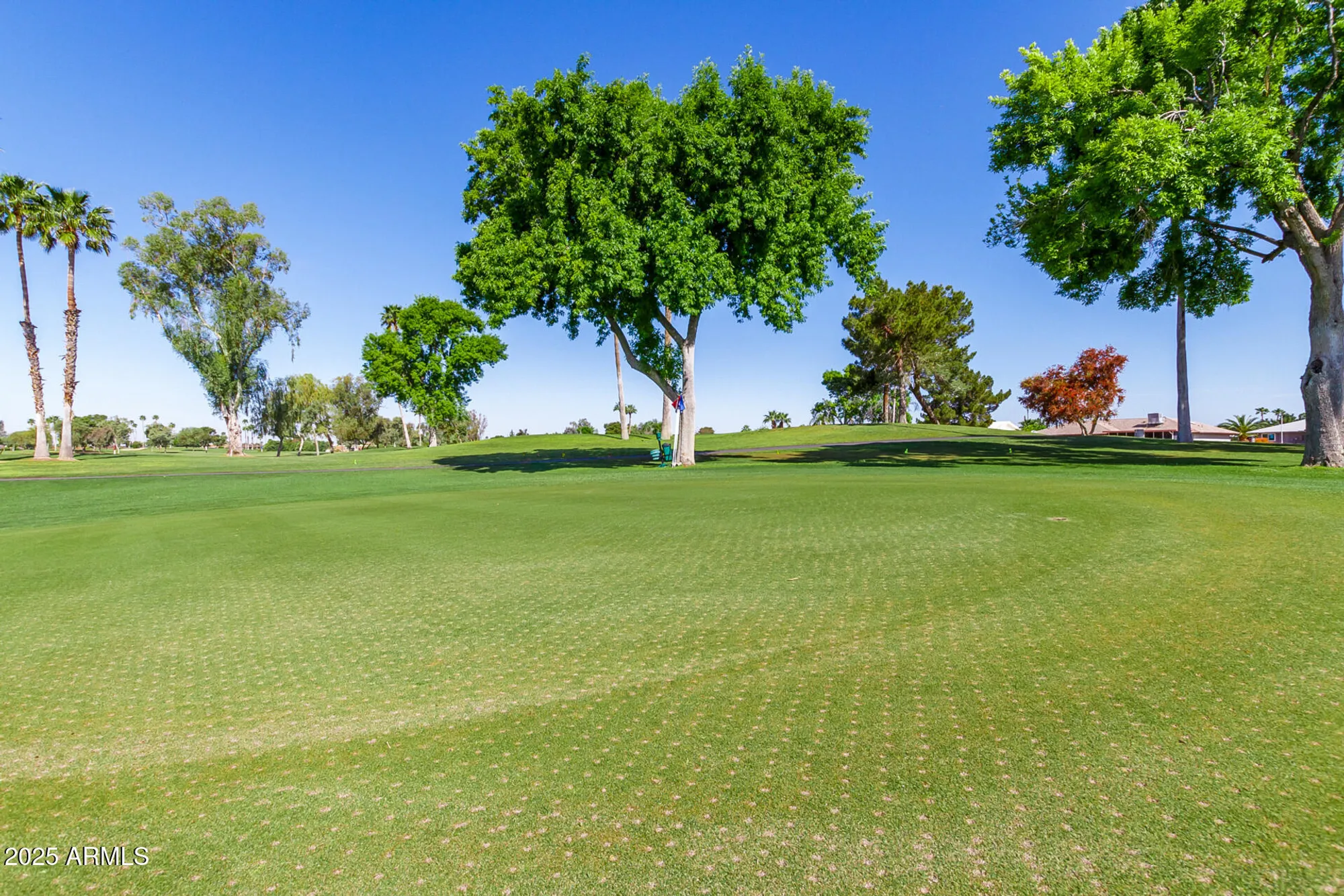 Property Slideshow image 62 of 107 | 12939 w prospect dr, Sun City West, AZ, 85375