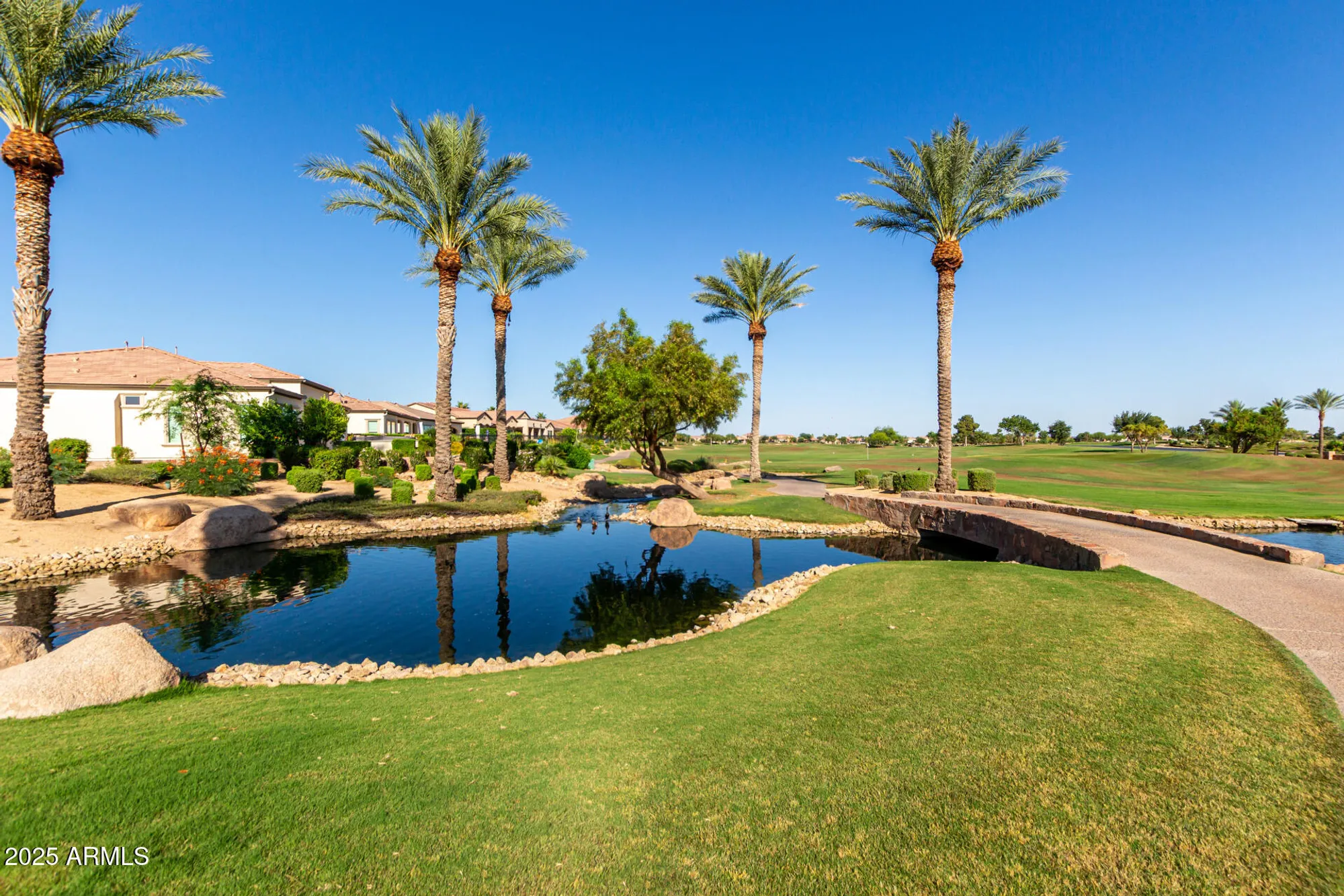 Property Slideshow image 36 of 47 | 35990 n desert tea dr, Queen Creek, AZ, 85140