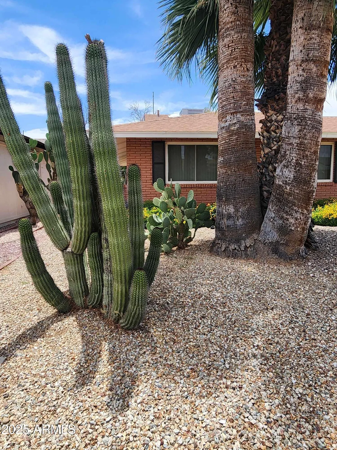 Property Slideshow image 44 of 53 | 9939 w ironwood dr, Sun City, AZ, 85351