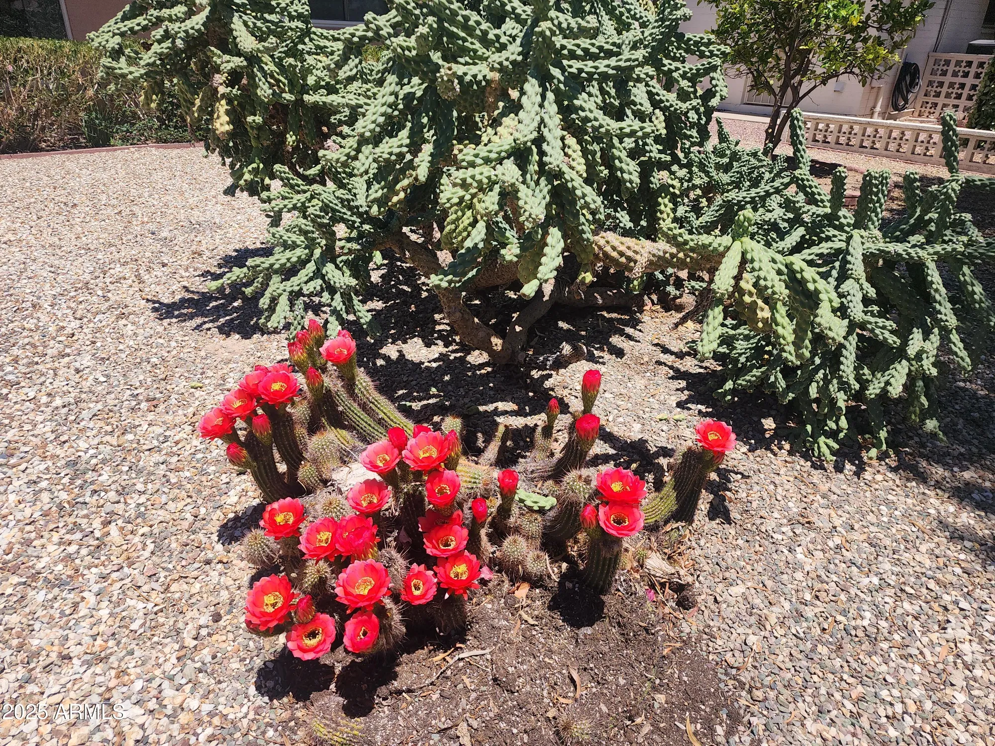 Property Slideshow image 49 of 53 | 9939 w ironwood dr, Sun City, AZ, 85351