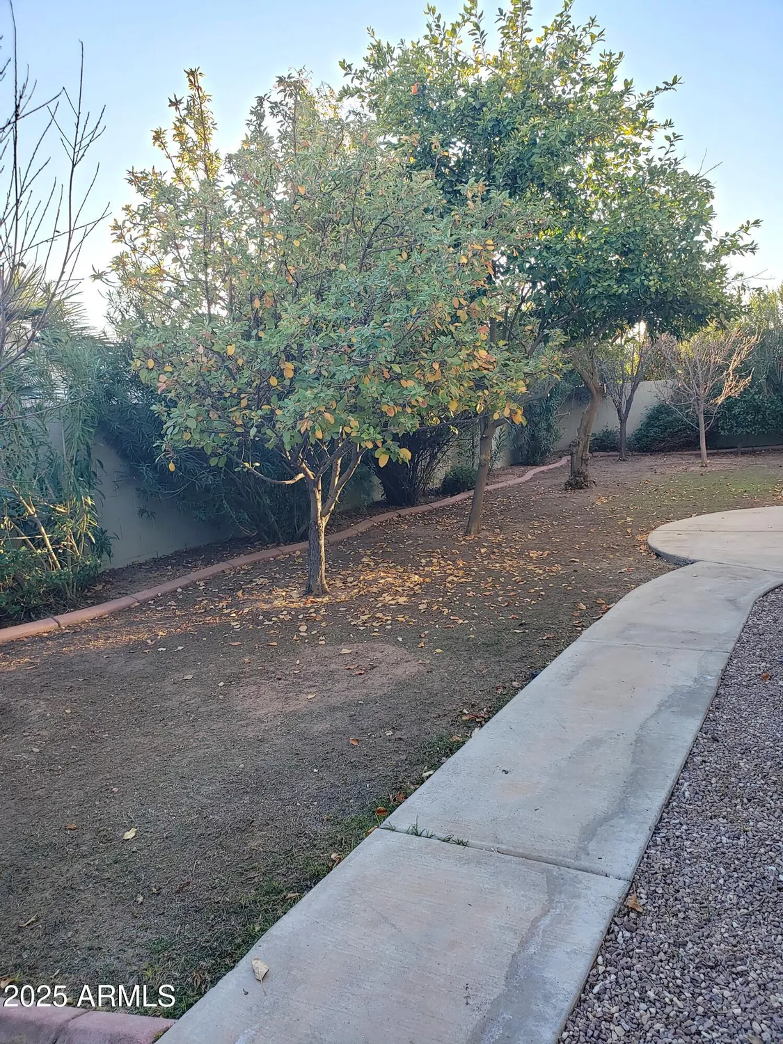 Property Slideshow image 30 of 33 | 14371 w morning star trl, Surprise, AZ, 85374