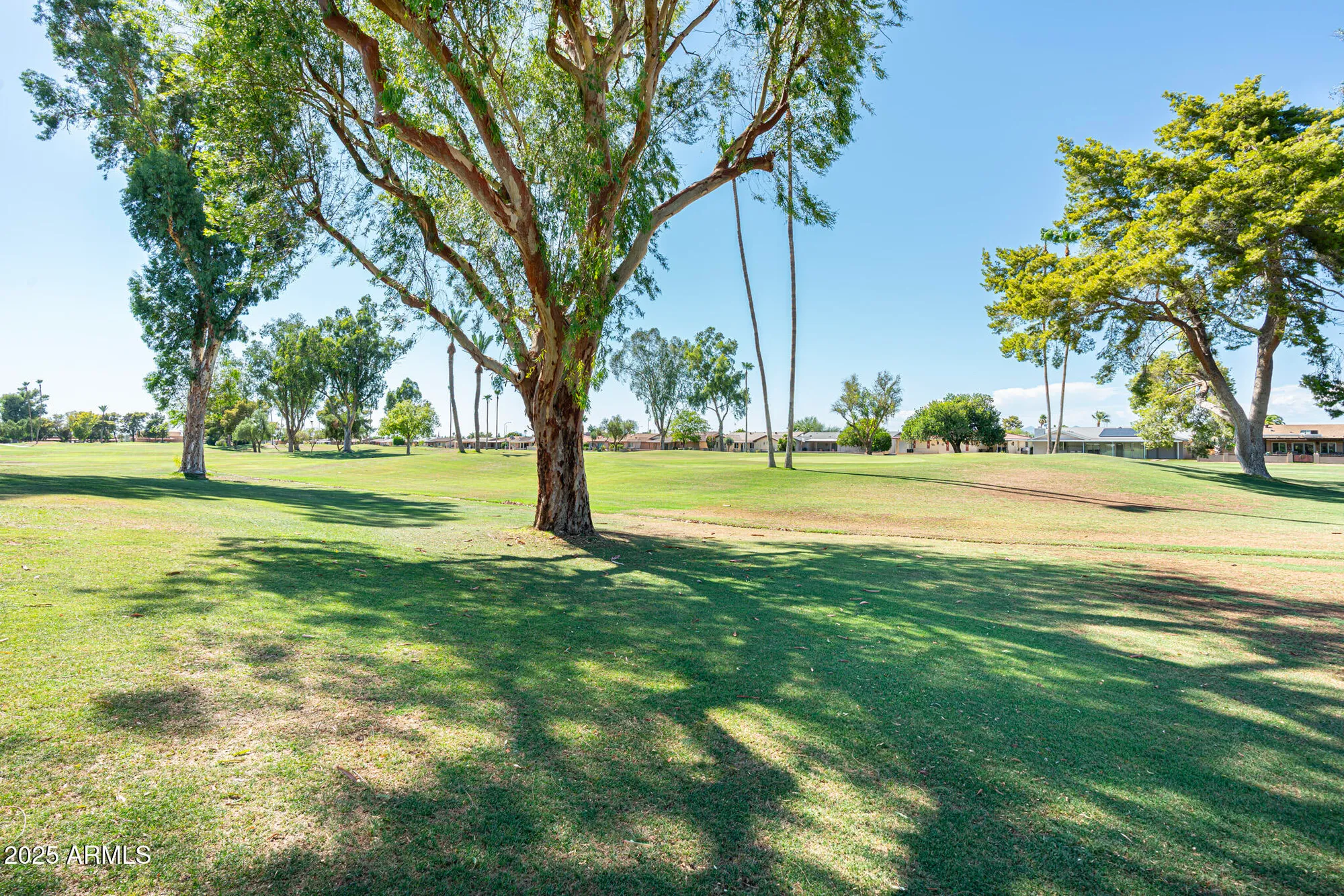 Property Slideshow image 36 of 40 | 1050 s roanoke, Mesa, AZ, 85206