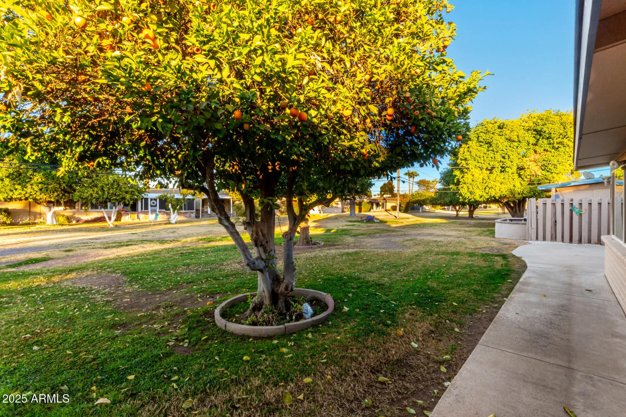 Property Slideshow image 33 of 35 | 11024 w peoria ave, Sun City, AZ, 85351