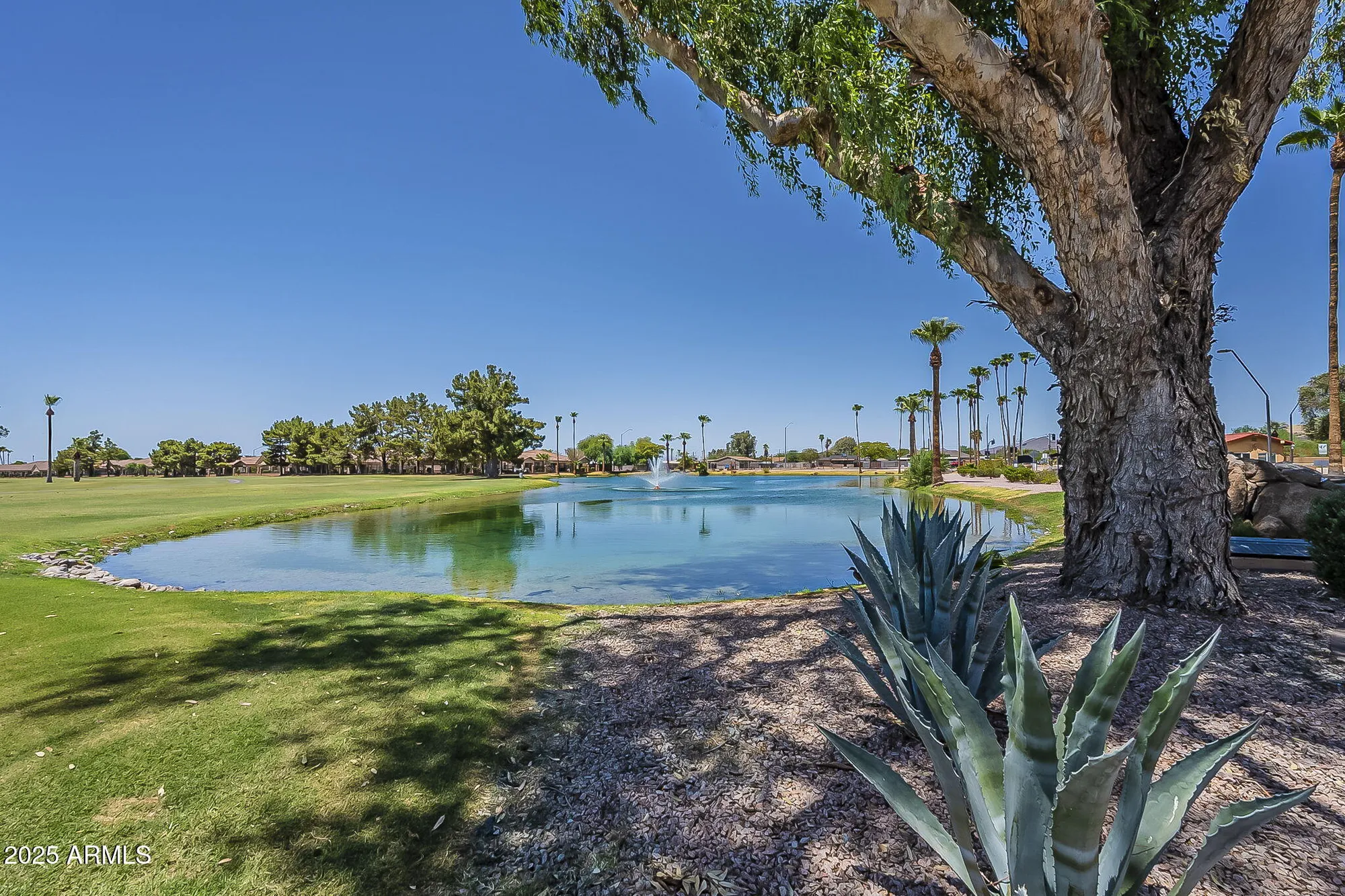 Property Slideshow image 51 of 58 | 832 s 82nd pl, Mesa, AZ, 85208
