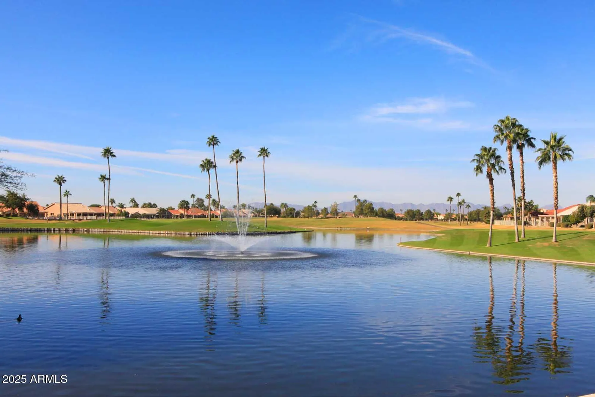 Property Slideshow image 30 of 39 | 9530 e hercules dr, Sun Lakes, AZ, 85248