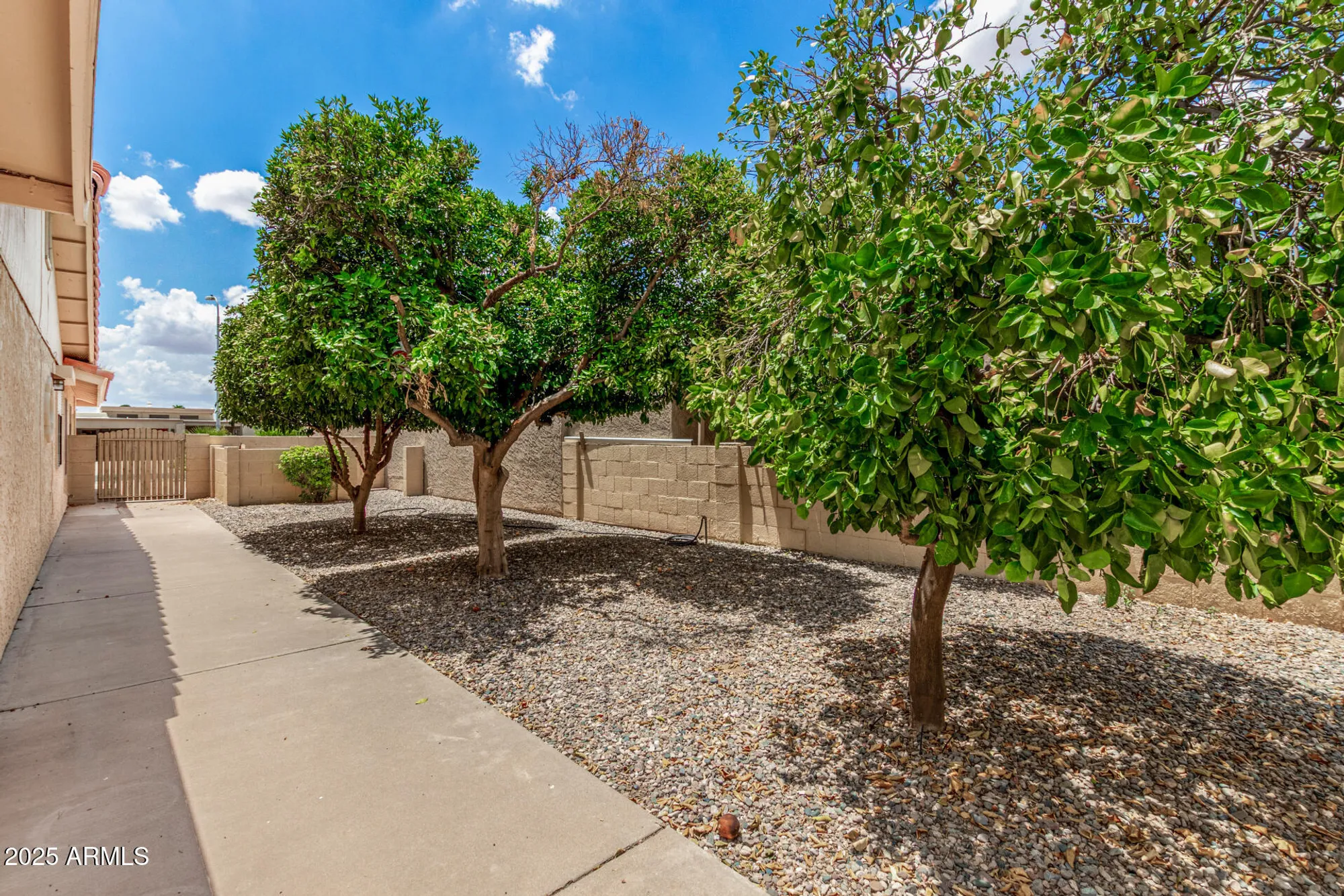 Property Slideshow image 36 of 51 | 9358 e olive ln, Sun Lakes, AZ, 85248