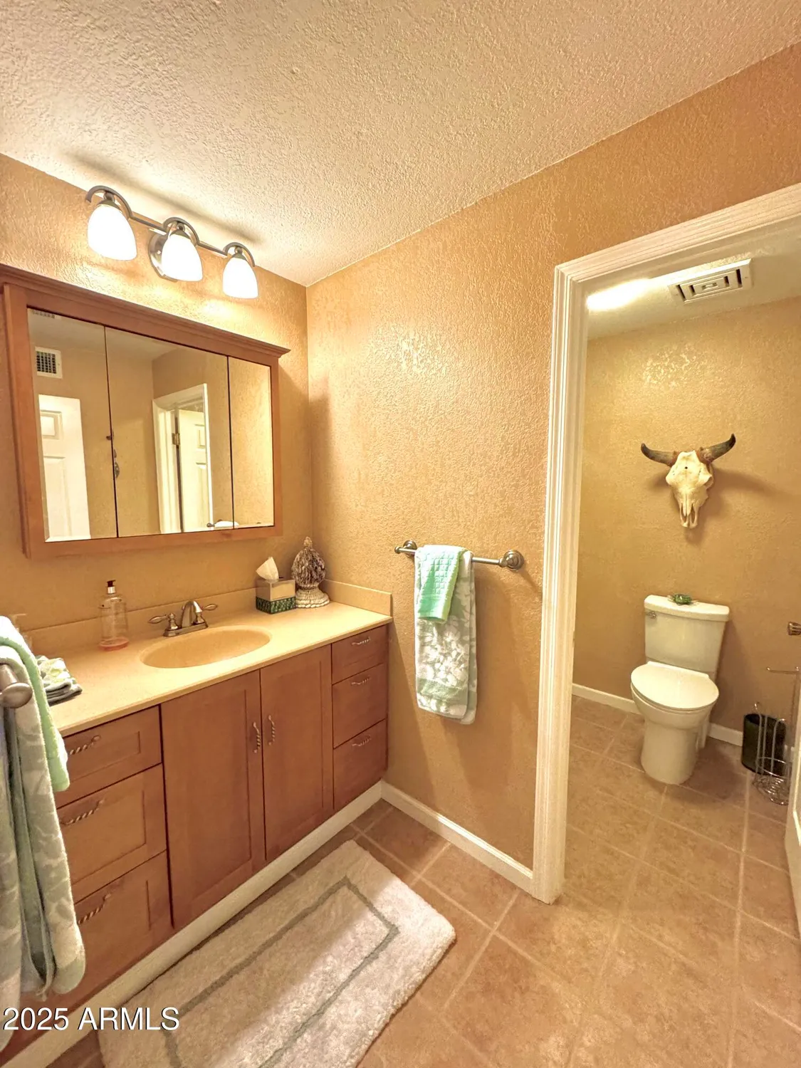 Property Slideshow image 13 of 21 | 7432 e hum rd 203, Carefree, AZ, 85377