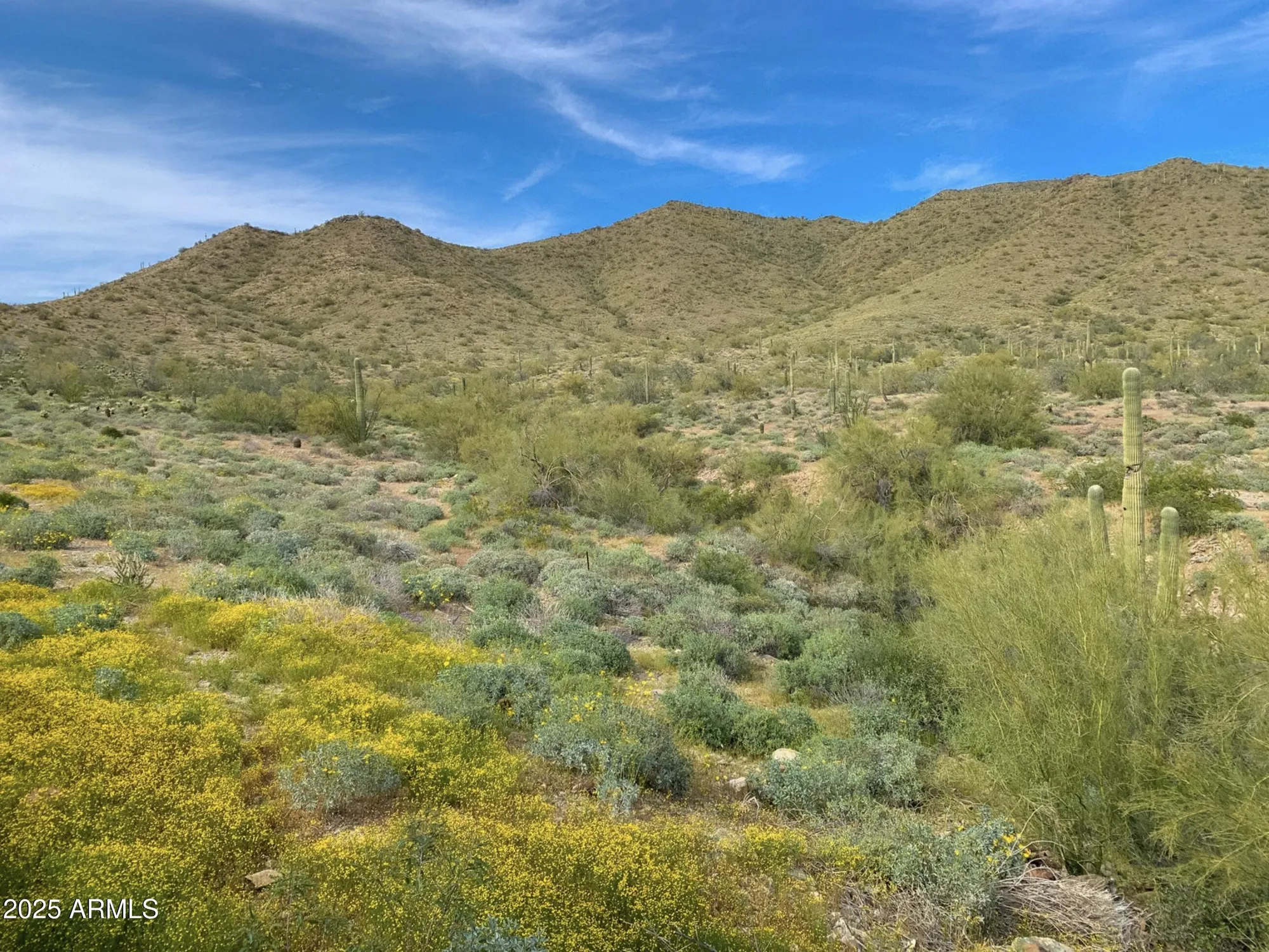 Property Slideshow image 83 of 85 | 42423 n cross timbers ct, Anthem, AZ, 85086