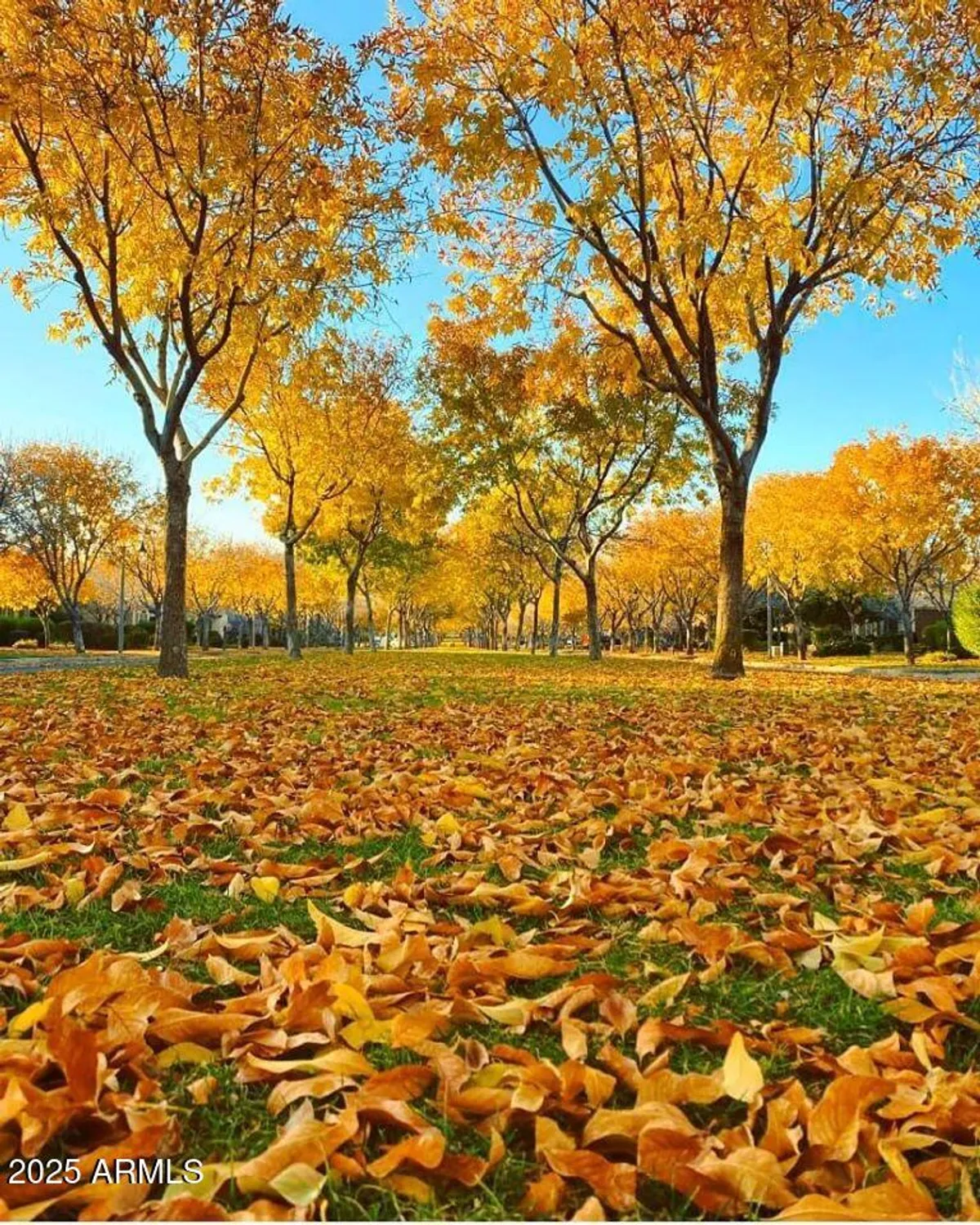 Property Slideshow image 119 of 122 | 20584 w hillcrest blvd, Buckeye, AZ, 85396