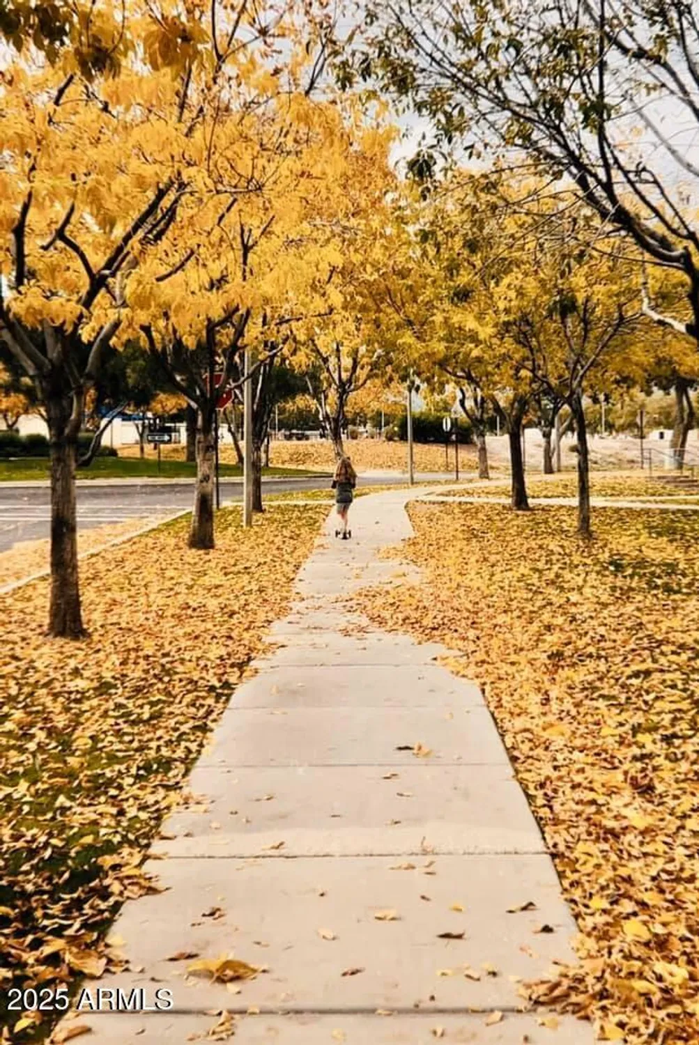 Property Slideshow image 120 of 122 | 20584 w hillcrest blvd, Buckeye, AZ, 85396