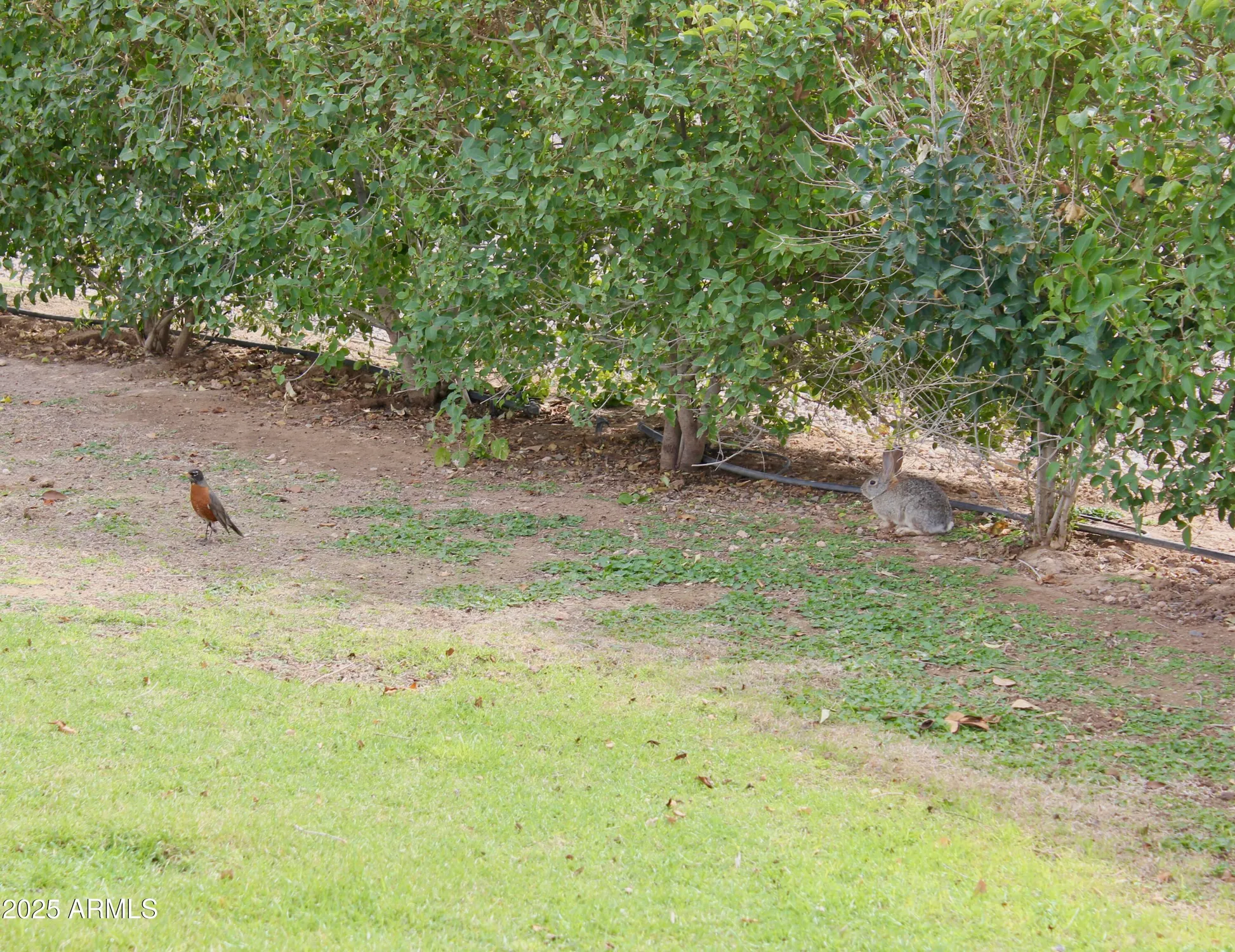 Property Slideshow image 45 of 54 | 10931 w peoria ave, Sun City, AZ, 85351