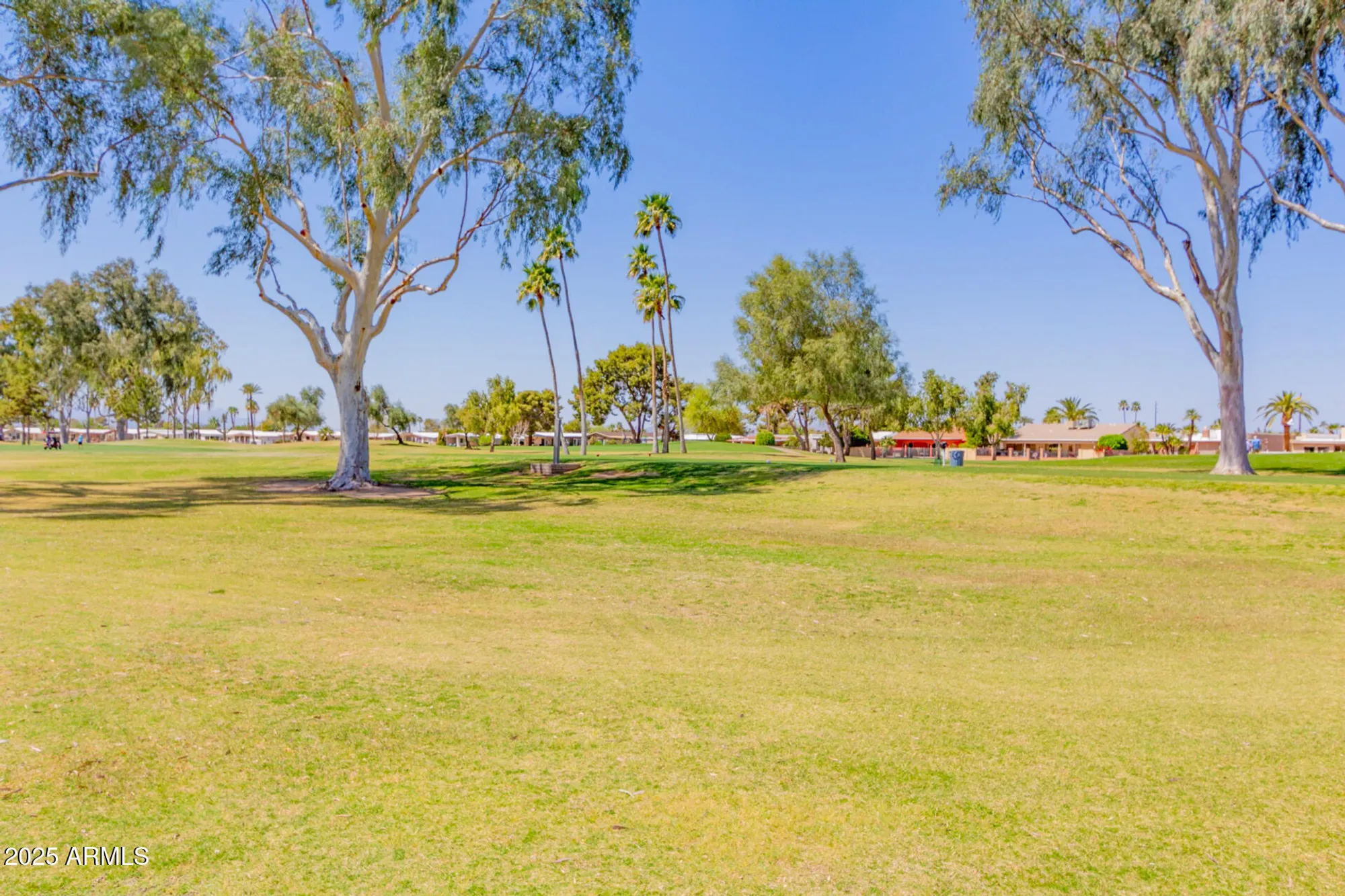 Property Slideshow image 29 of 39 | 26604 s papago pl, Sun Lakes, AZ, 85248