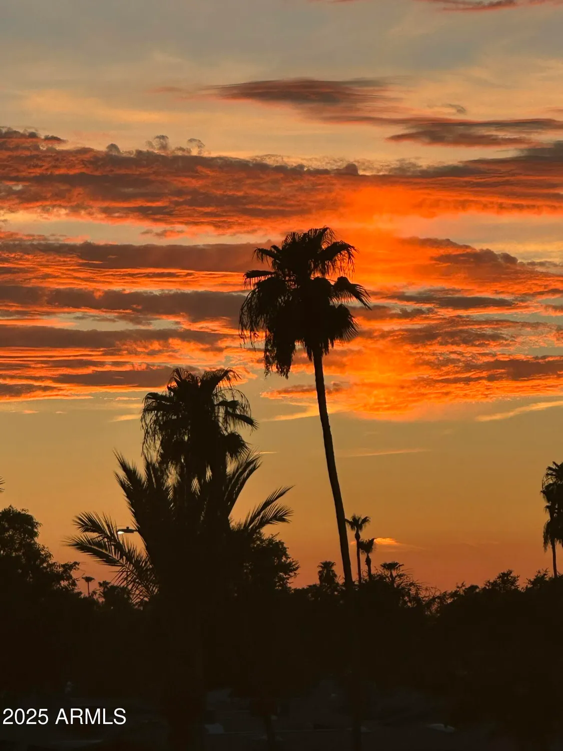 Property Slideshow image 26 of 37 | 17404 n 99th ave unit 310, Sun City, AZ, 85373