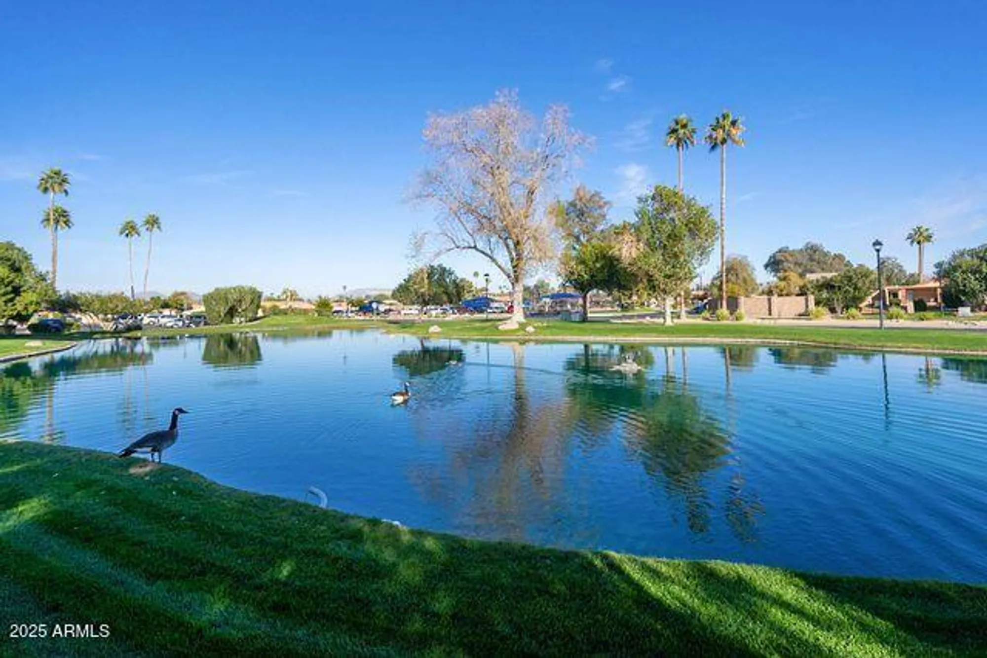 Property Slideshow image 24 of 24 | 174 leisure world, Mesa, AZ, 85206