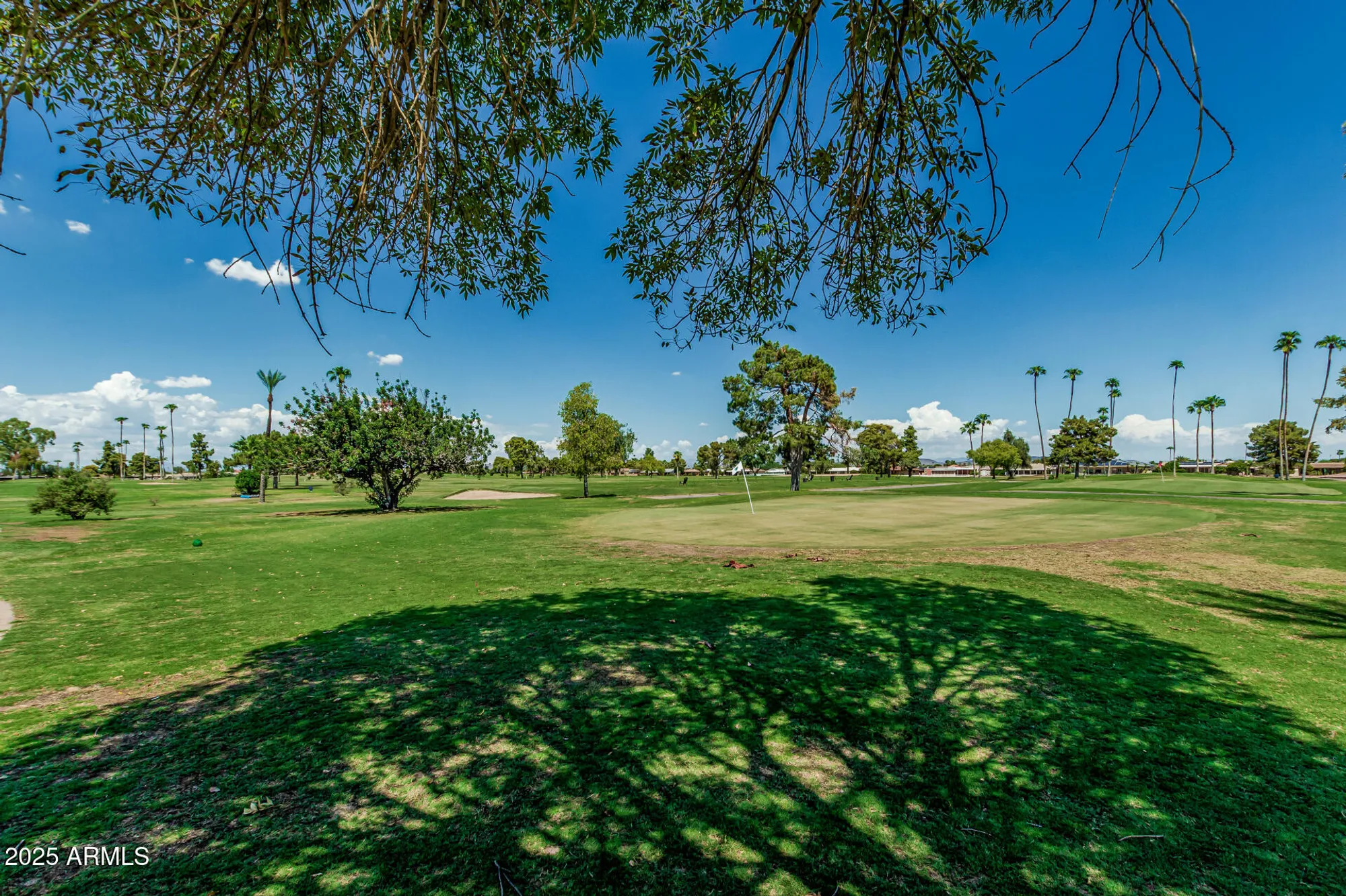 Property Slideshow image 36 of 38 | 15401 n cameo dr, Sun City, AZ, 85351