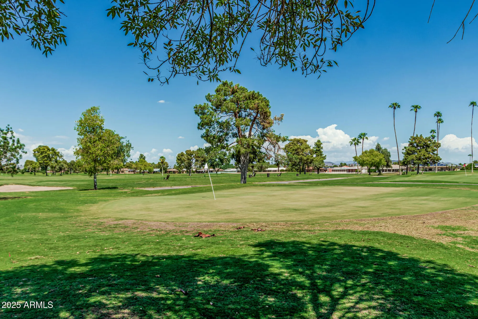 Property Slideshow image 37 of 38 | 15401 n cameo dr, Sun City, AZ, 85351