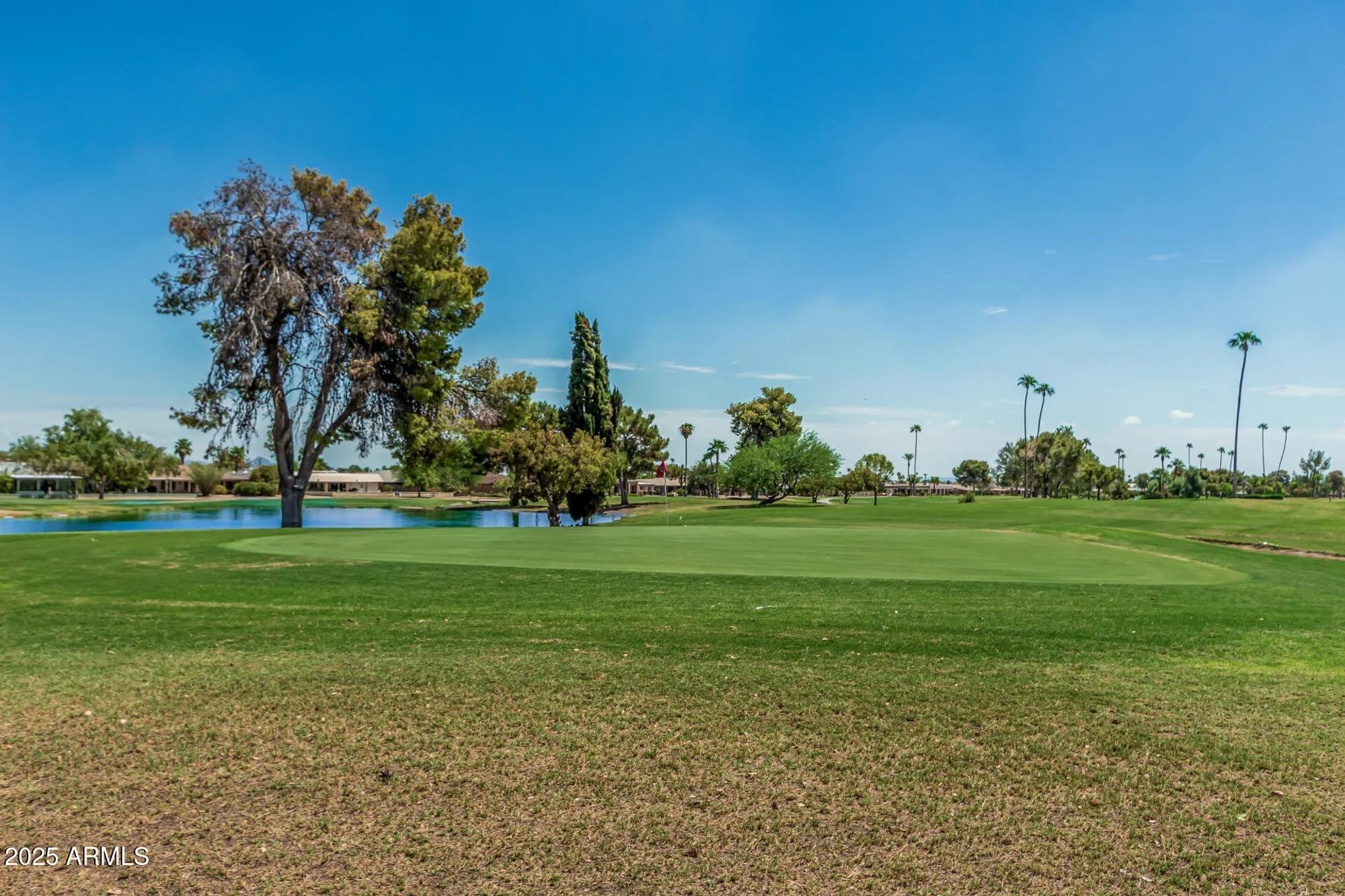 Property Slideshow image 35 of 38 | 15401 n cameo dr, Sun City, AZ, 85351