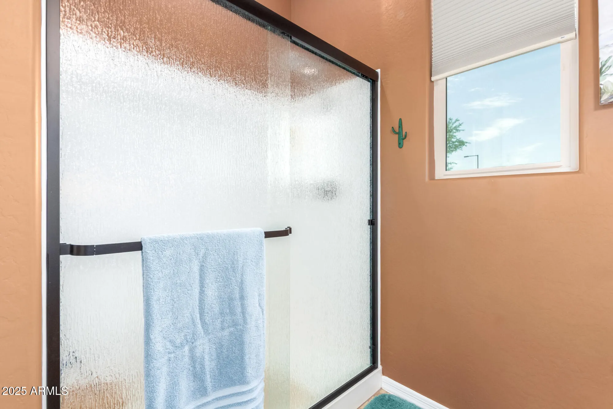 Property Slideshow image 30 of 46 | 19672 n 267th ave, Buckeye, AZ, 85396