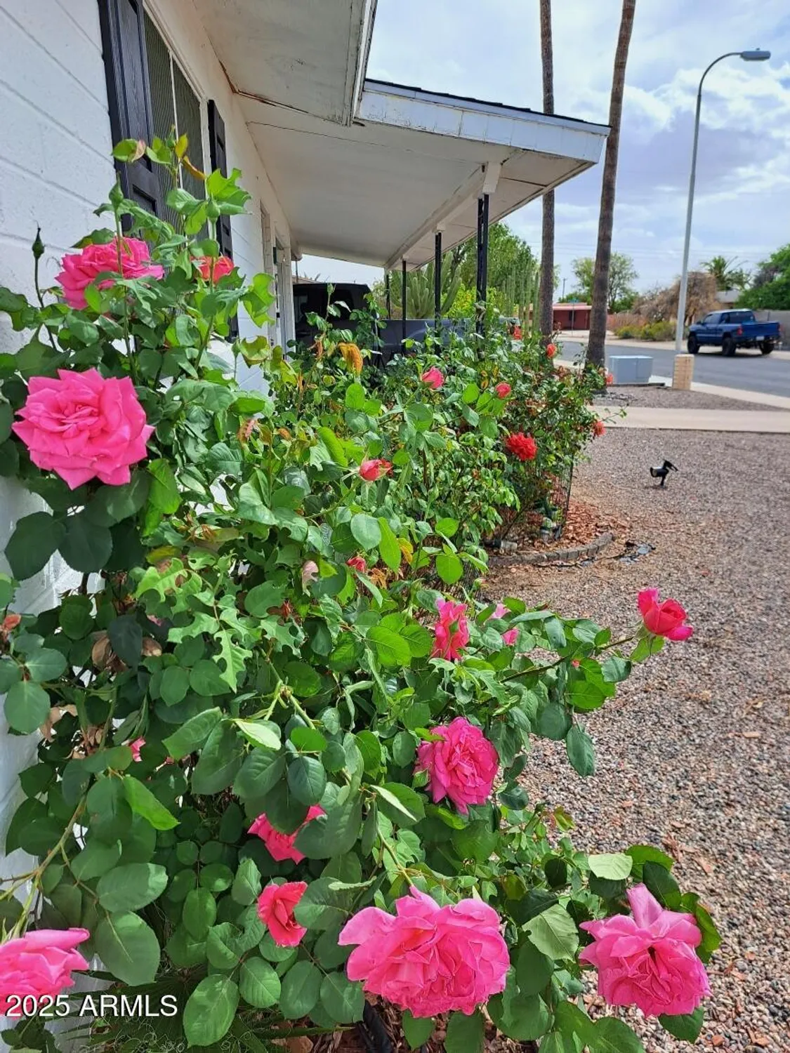 Property Slideshow image 4 of 43 | 639 n 57th pl, Mesa, AZ, 85205
