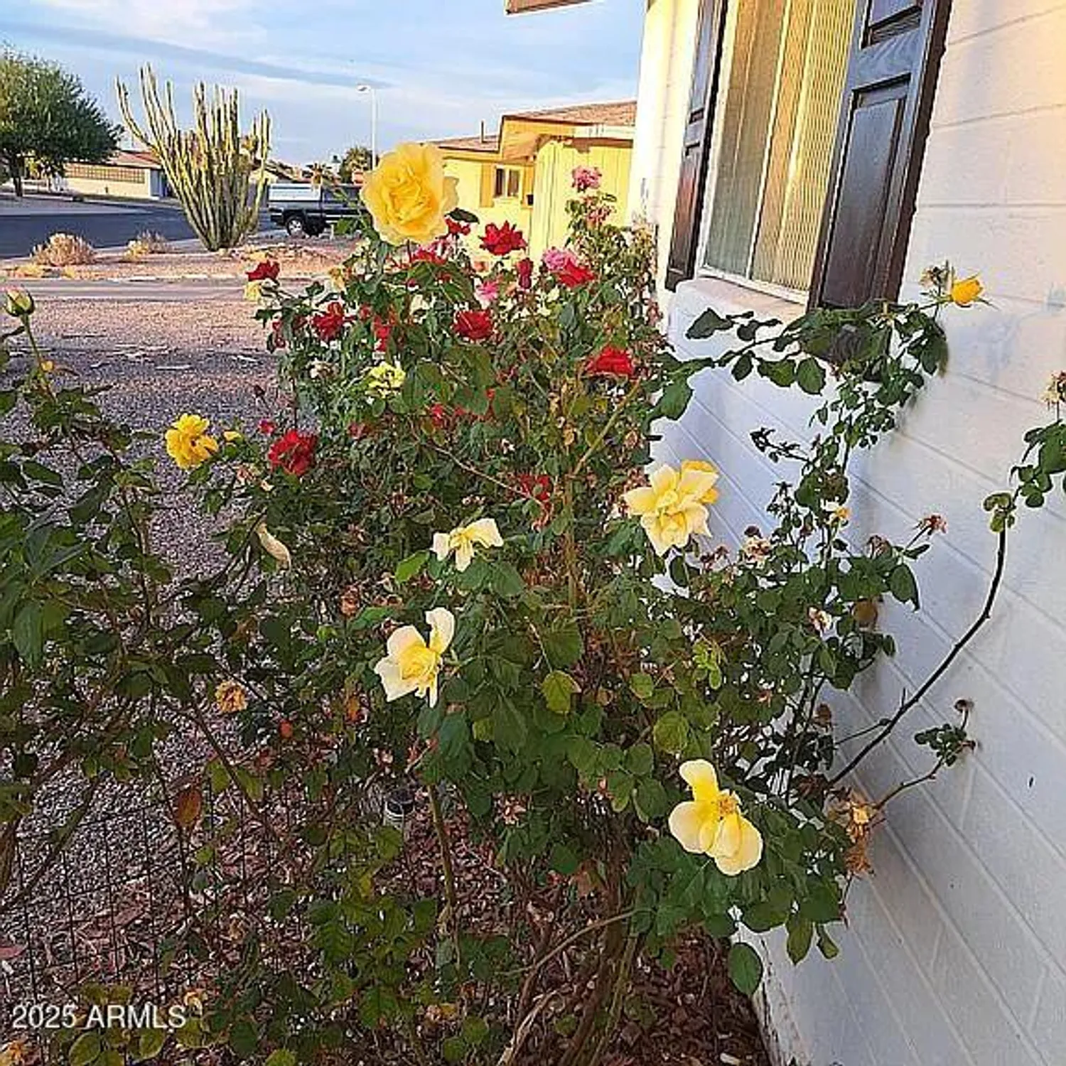 Property Slideshow image 39 of 43 | 639 n 57th pl, Mesa, AZ, 85205