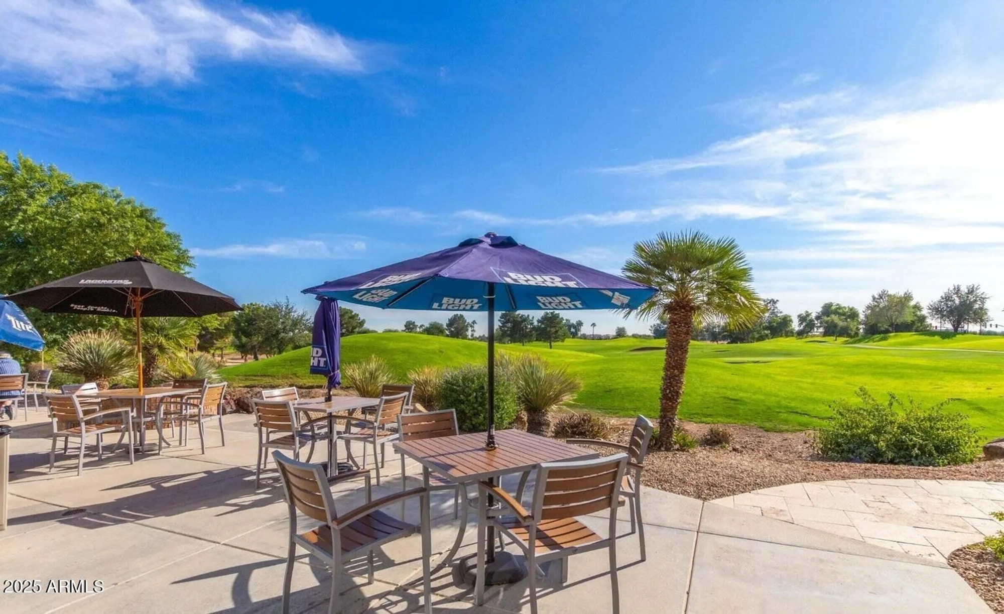 Property Slideshow image 65 of 74 | 18226 w stinson dr, Surprise, AZ, 85374