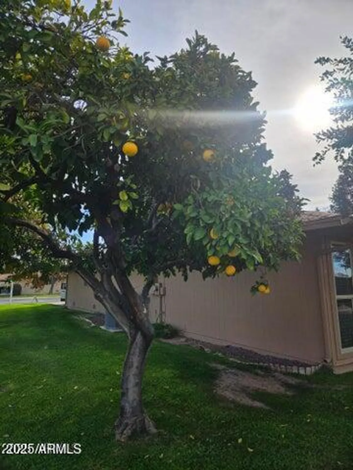 Property Slideshow image 54 of 65 | 15462 n lakeforest dr, Sun City, AZ, 85351