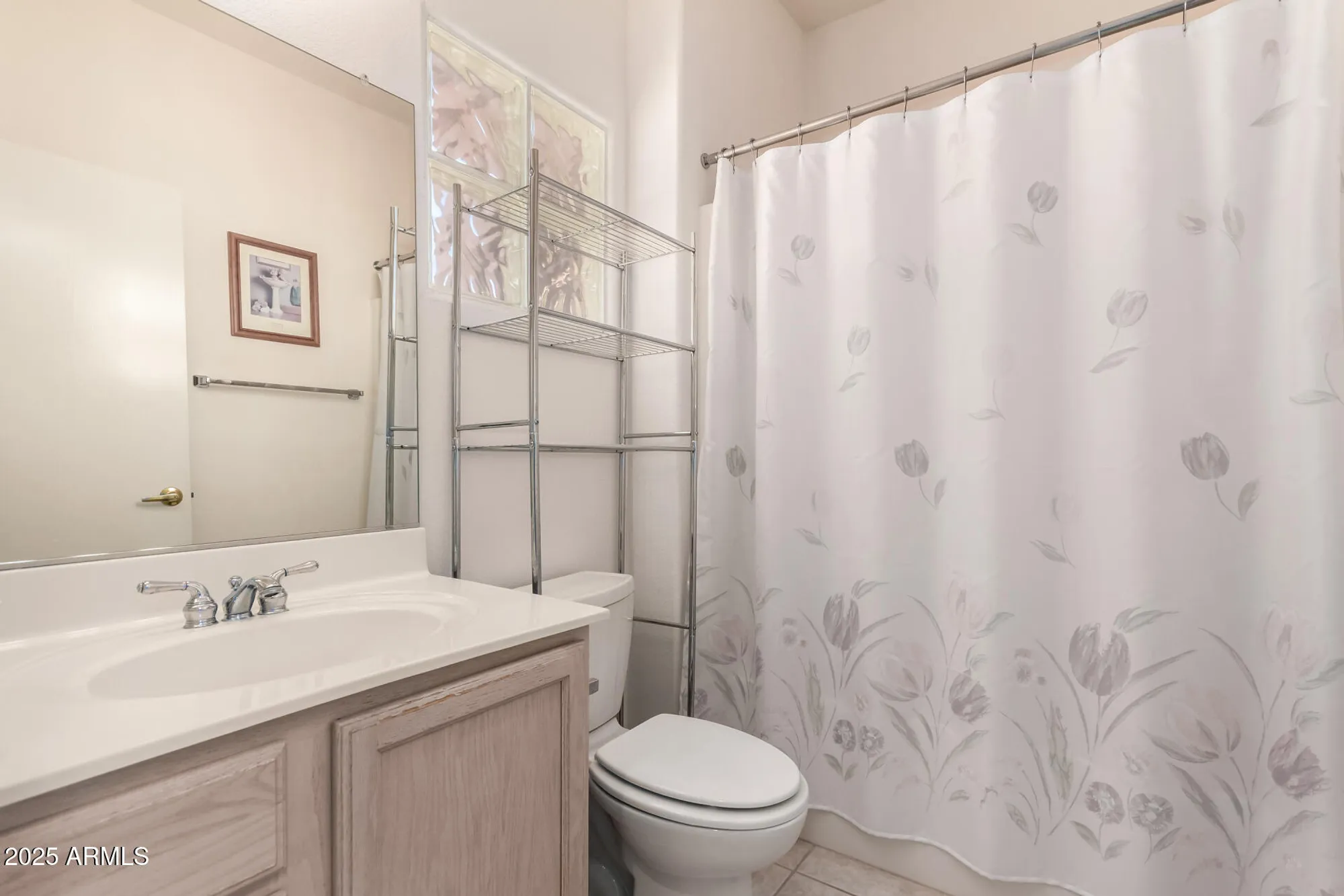 Property Slideshow image 19 of 38 | 20024 n painted sky dr, Surprise, AZ, 85374
