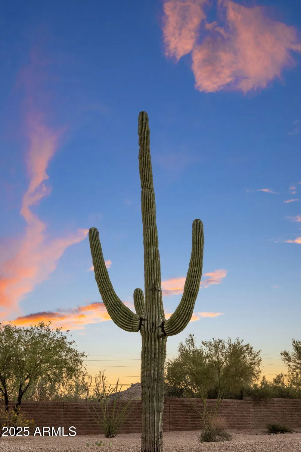 Property Slideshow image 44 of 68 | 17892 e silver sage ln, Rio Verde, AZ, 85263