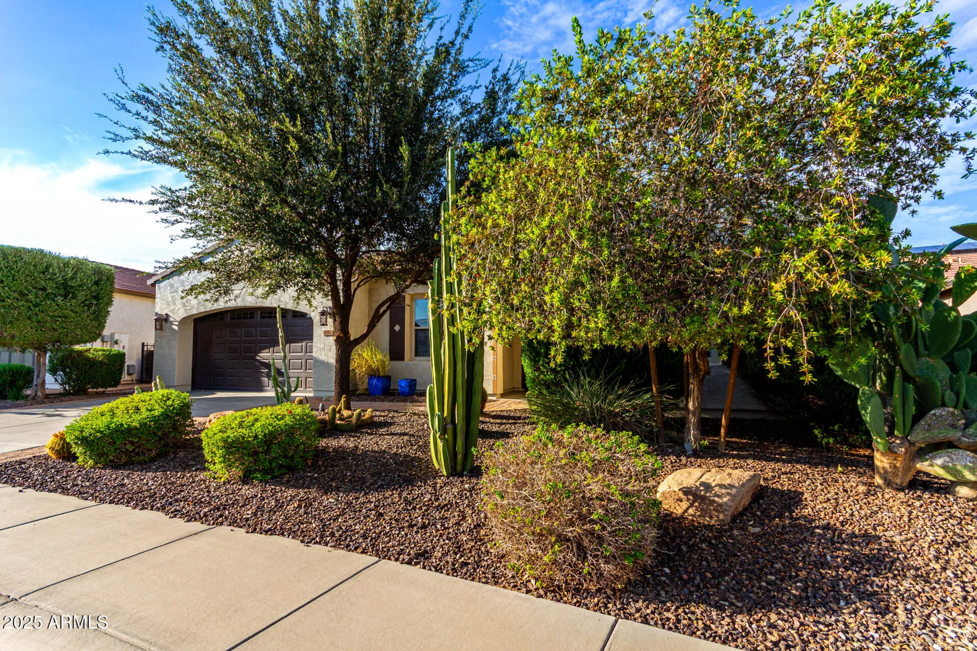 Property Slideshow image 6 of 43 | 882 e laddoos ave, Queen Creek, AZ, 85140