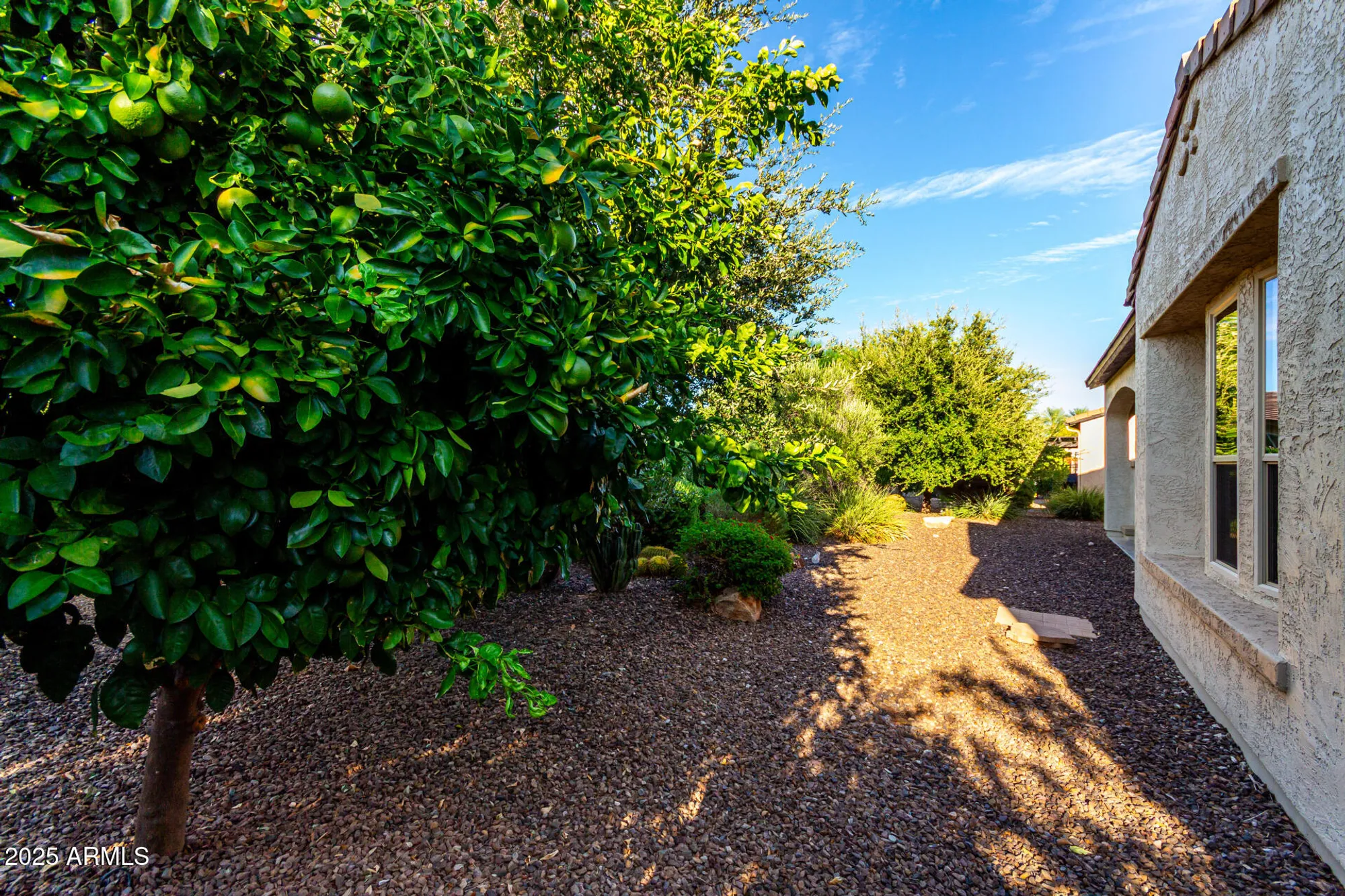 Property Slideshow image 43 of 43 | 882 e laddoos ave, Queen Creek, AZ, 85140