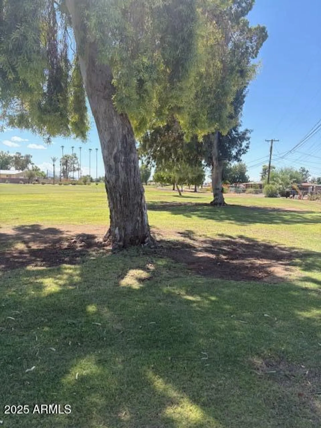 Property Slideshow image 31 of 41 | 10839 w oakmont dr, Sun City, AZ, 85351