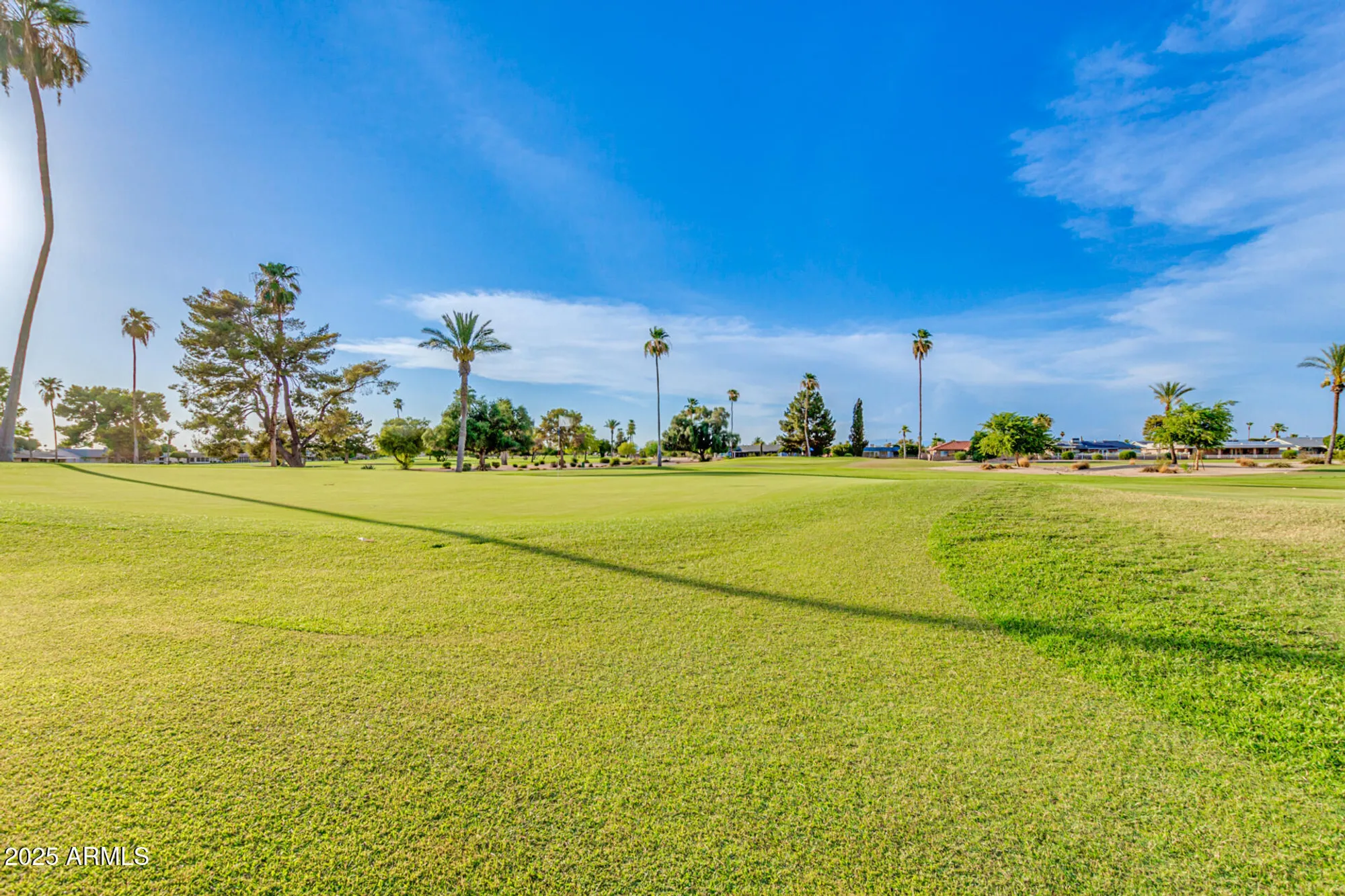 Property Slideshow image 46 of 47 | 10306 w cameo dr, Sun City, AZ, 85351