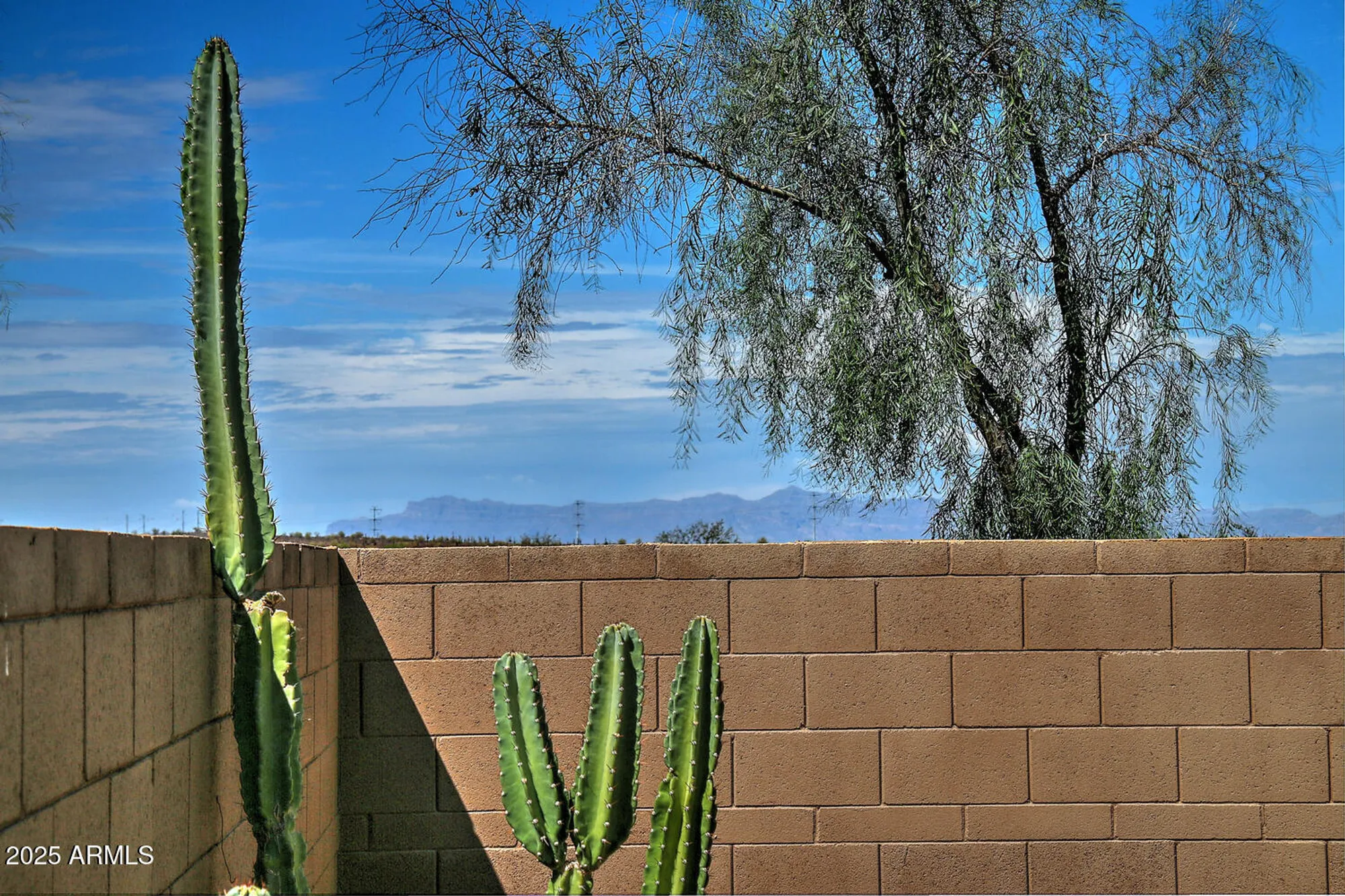 Property Slideshow image 37 of 56 | 6808 w mockingbird way, Florence, AZ, 85132