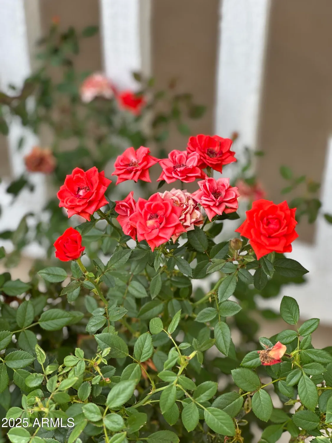 Property Slideshow image 35 of 48 | 7638 e clear sky trl, Prescott Valley, AZ, 86315