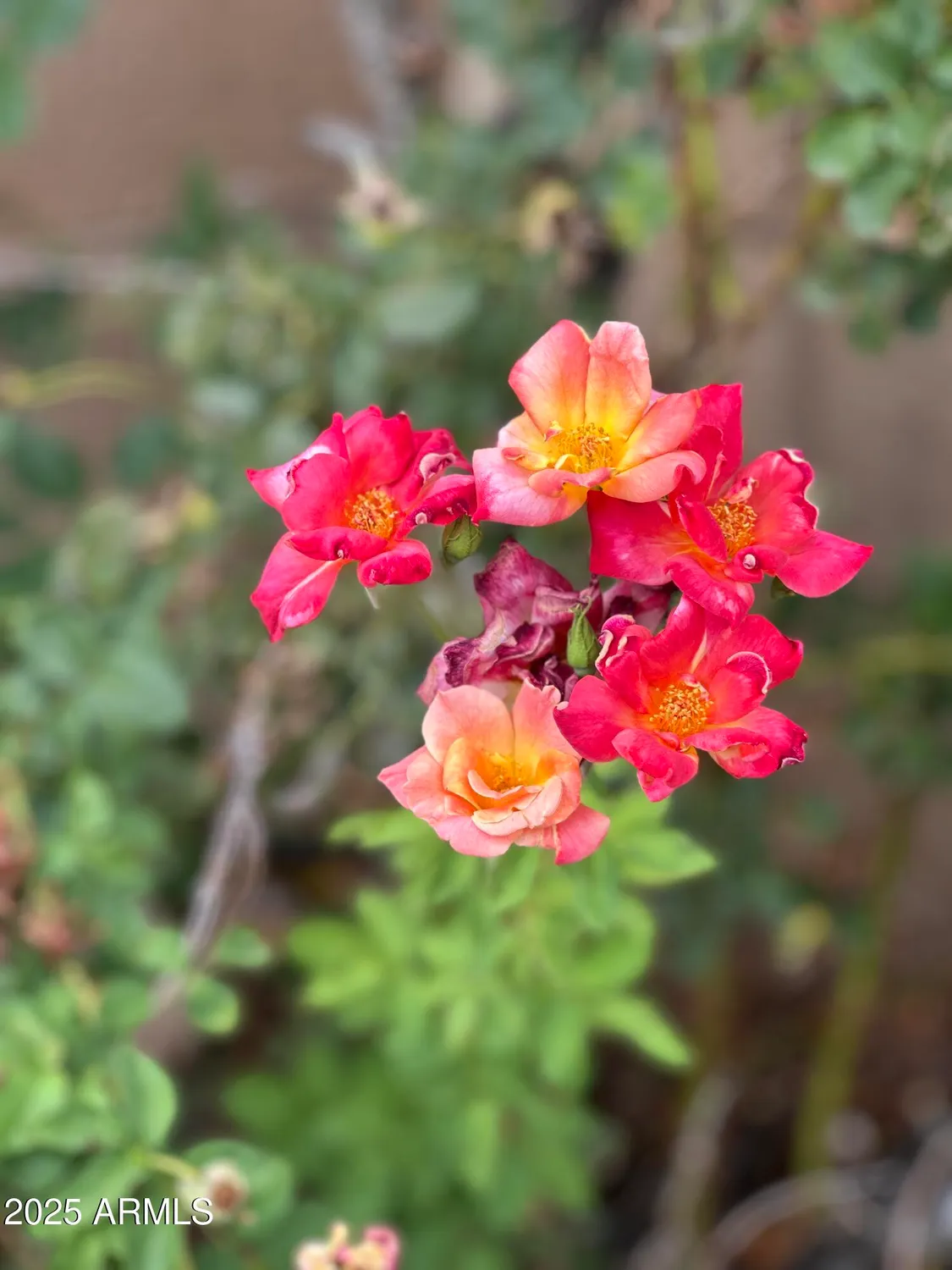 Property Slideshow image 40 of 48 | 7638 e clear sky trl, Prescott Valley, AZ, 86315