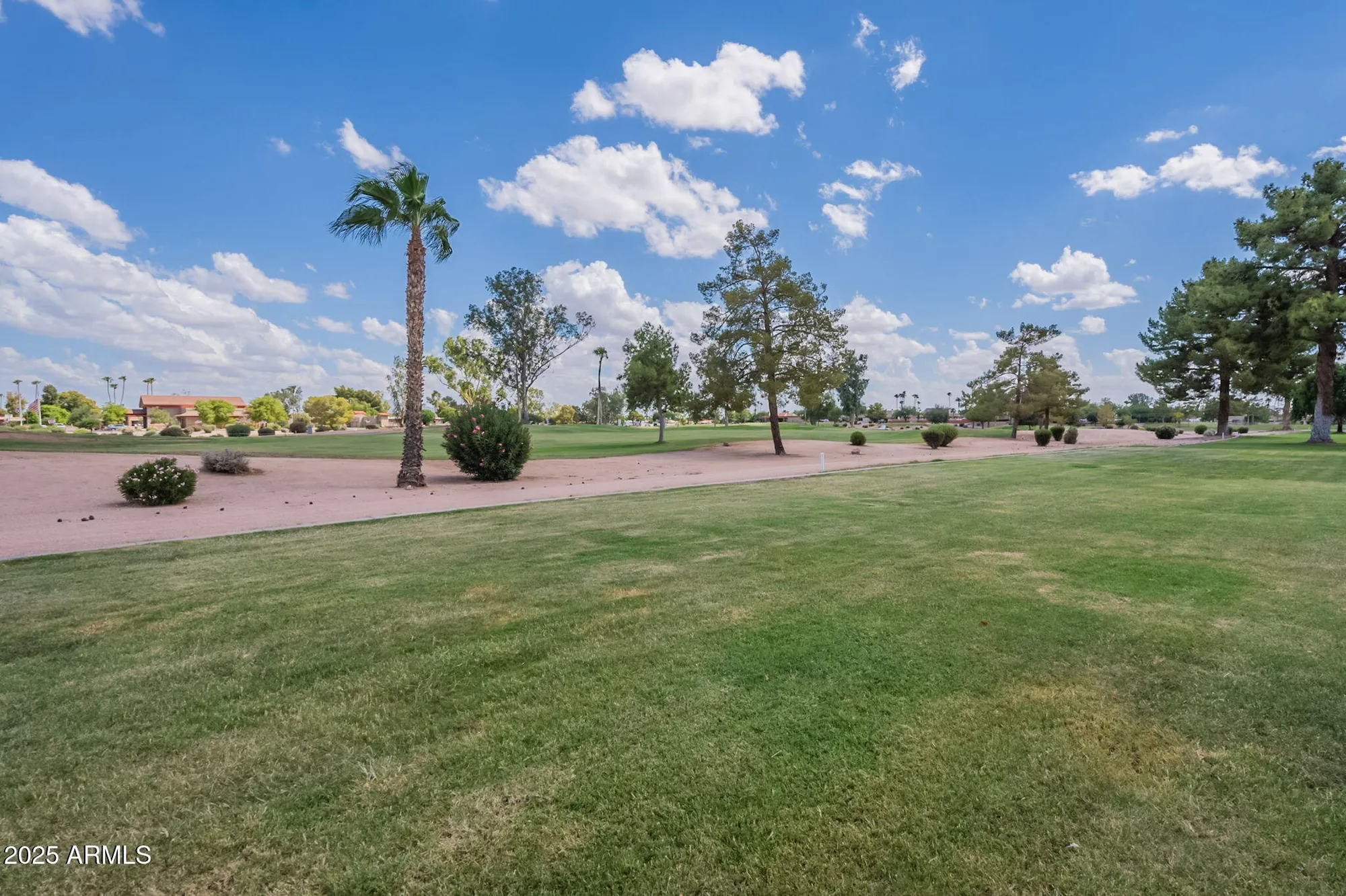 Property Slideshow image 52 of 63 | 25223 s berry brook dr, Sun Lakes, AZ, 85248